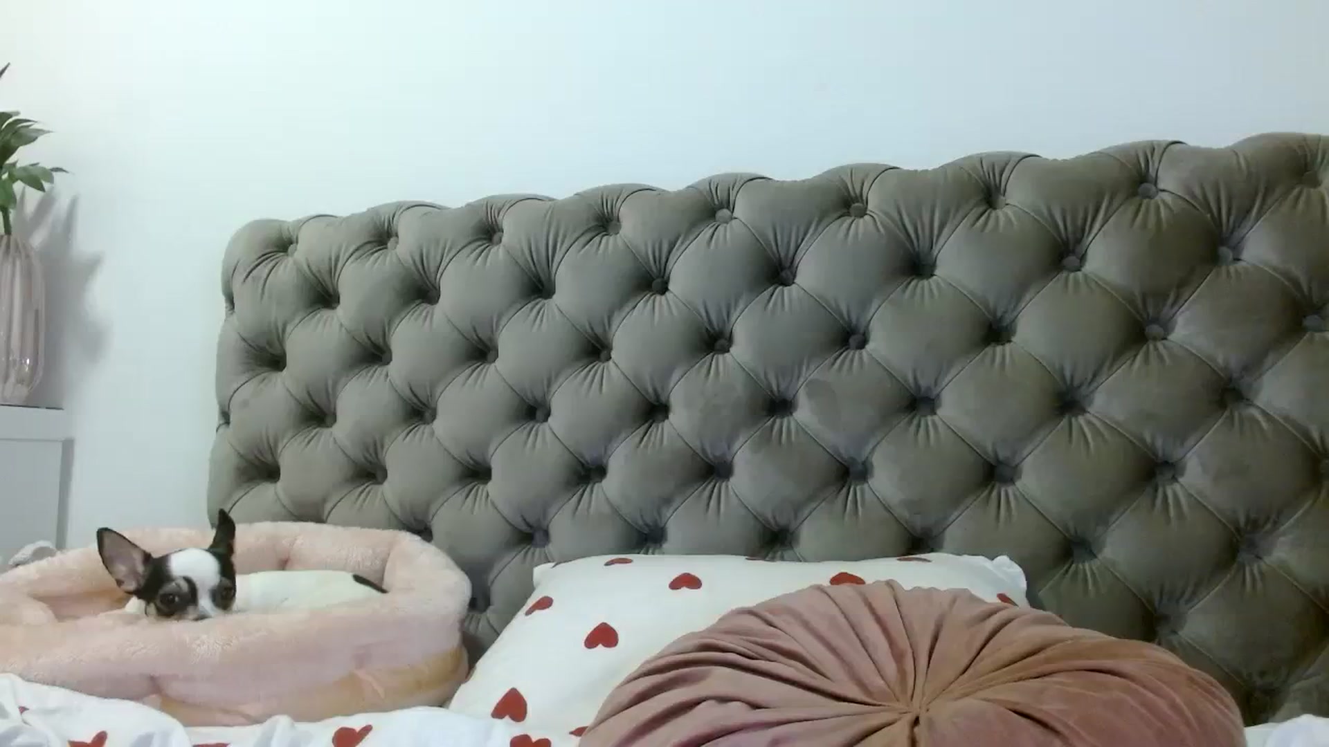Gallery image thumbnail from Vixen_Eliana's myfreecams stream on, 02/20/2024, 03:23 image 17 of 20