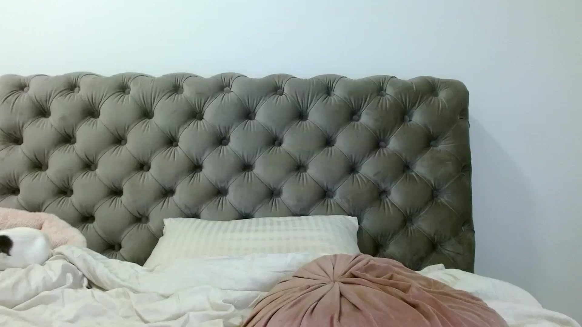 Gallery image thumbnail from Vixen_Eliana's myfreecams stream on, 04/23/2024, 24:32 image 20 of 20