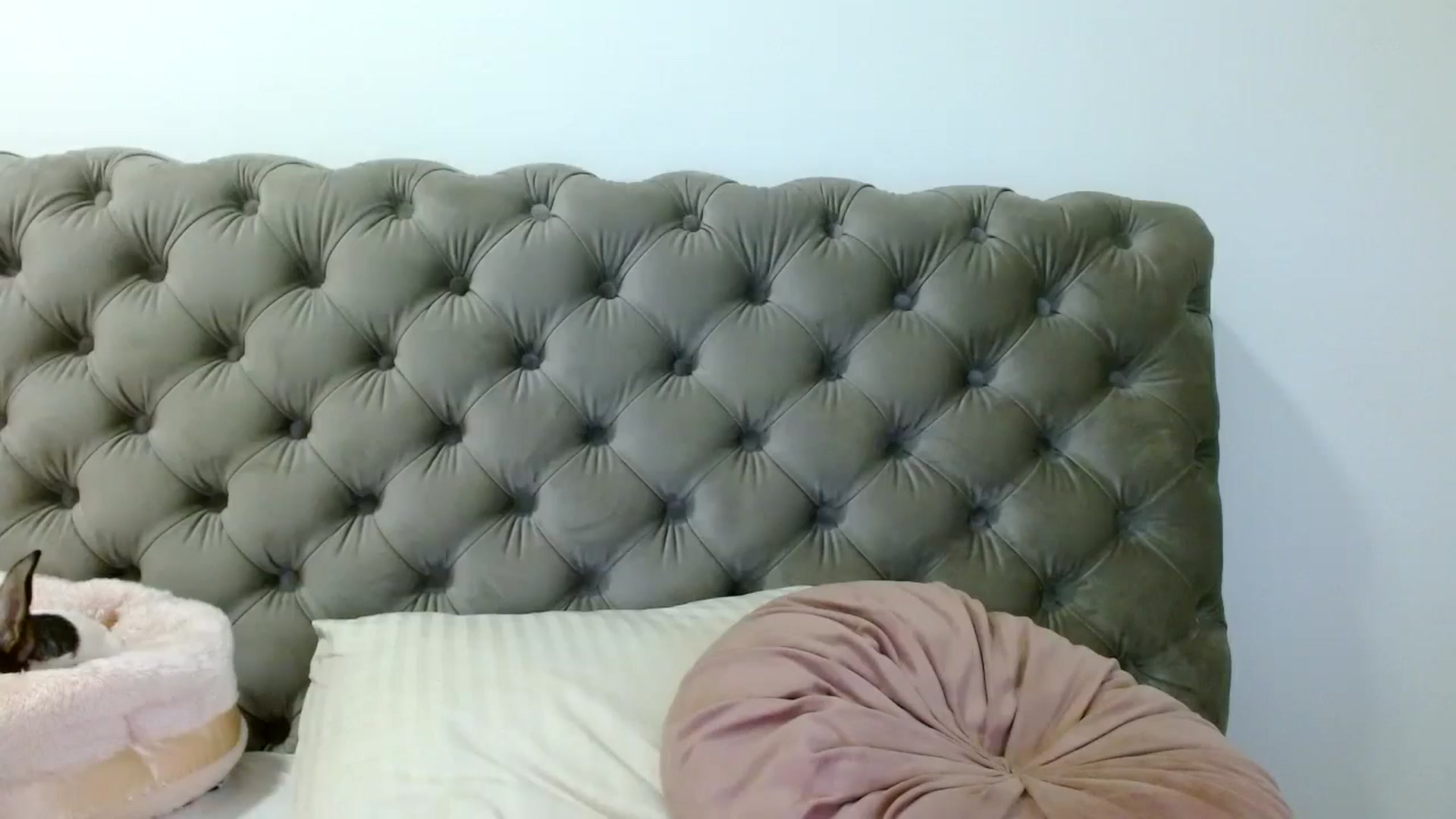 Gallery image thumbnail from Vixen_Eliana's myfreecams stream on, 05/13/2024, 02:20 image 7 of 20