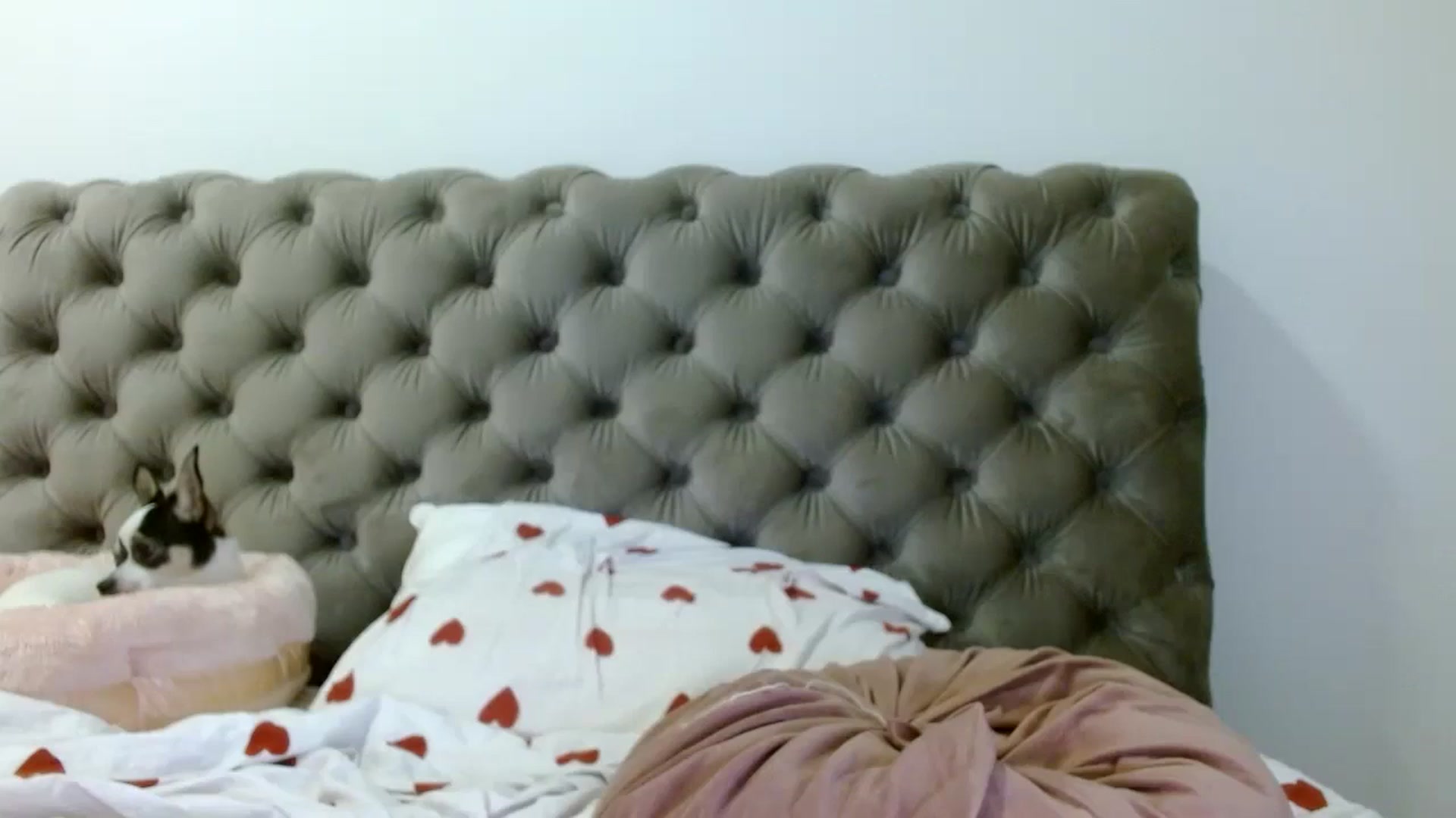 Gallery image thumbnail from Vixen_Eliana's myfreecams stream on, 05/20/2024, 01:48 image 17 of 20