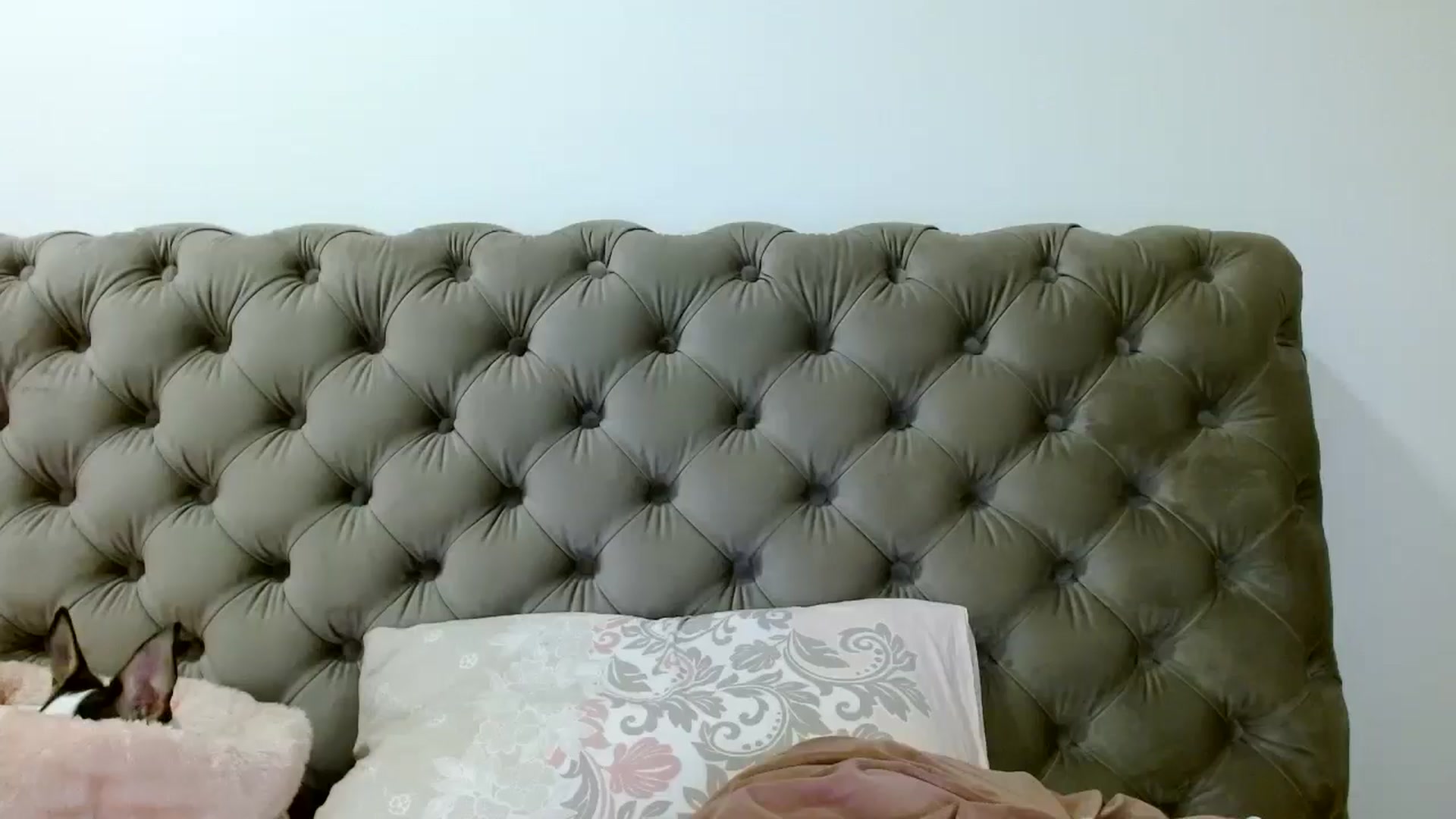 Gallery image thumbnail from Vixen_Eliana's myfreecams stream on, 07/11/2024, 02:18 image 2 of 20