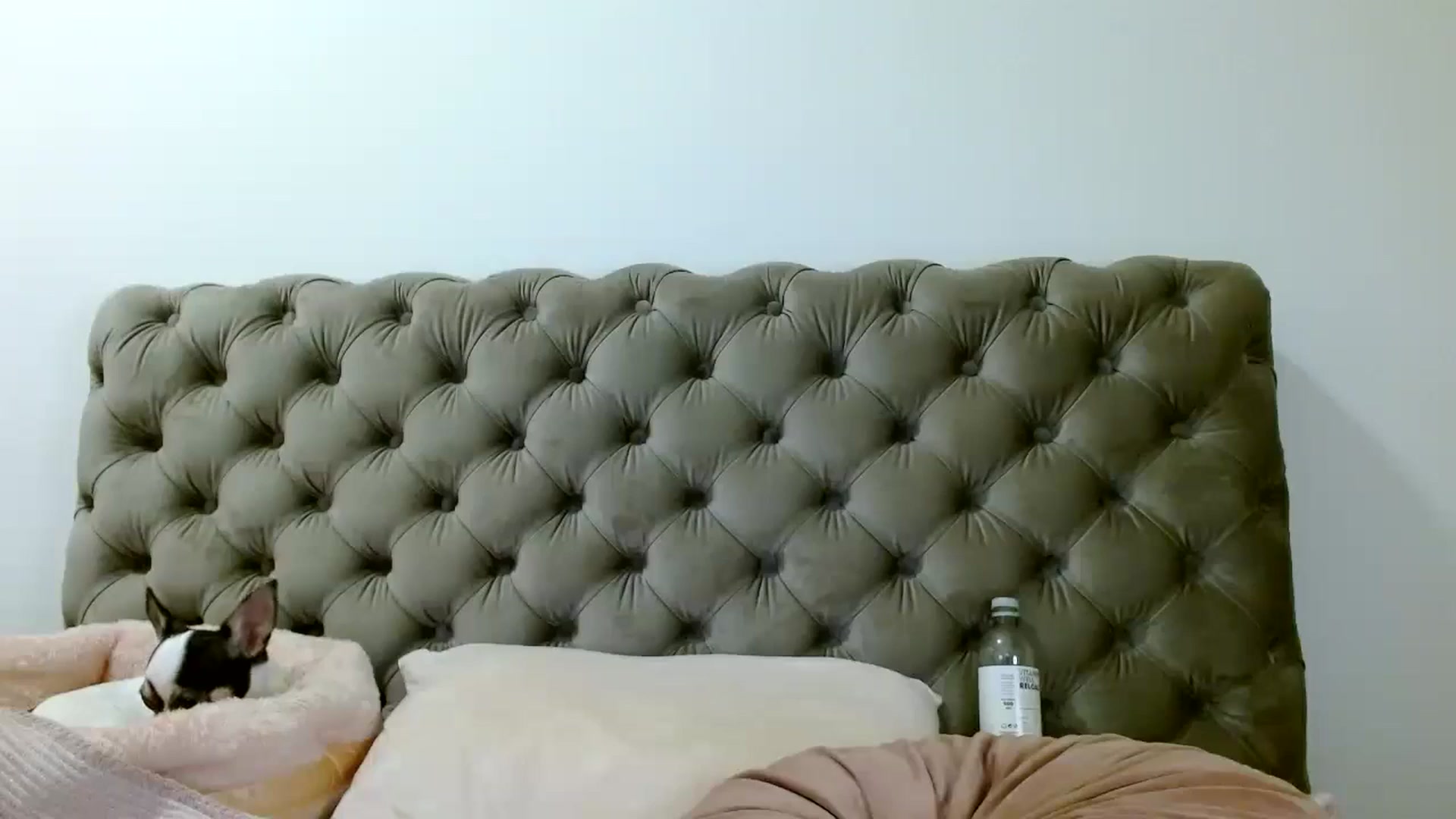 Gallery image thumbnail from Vixen_Eliana's myfreecams stream on, 08/22/2024, 24:54 image 19 of 20