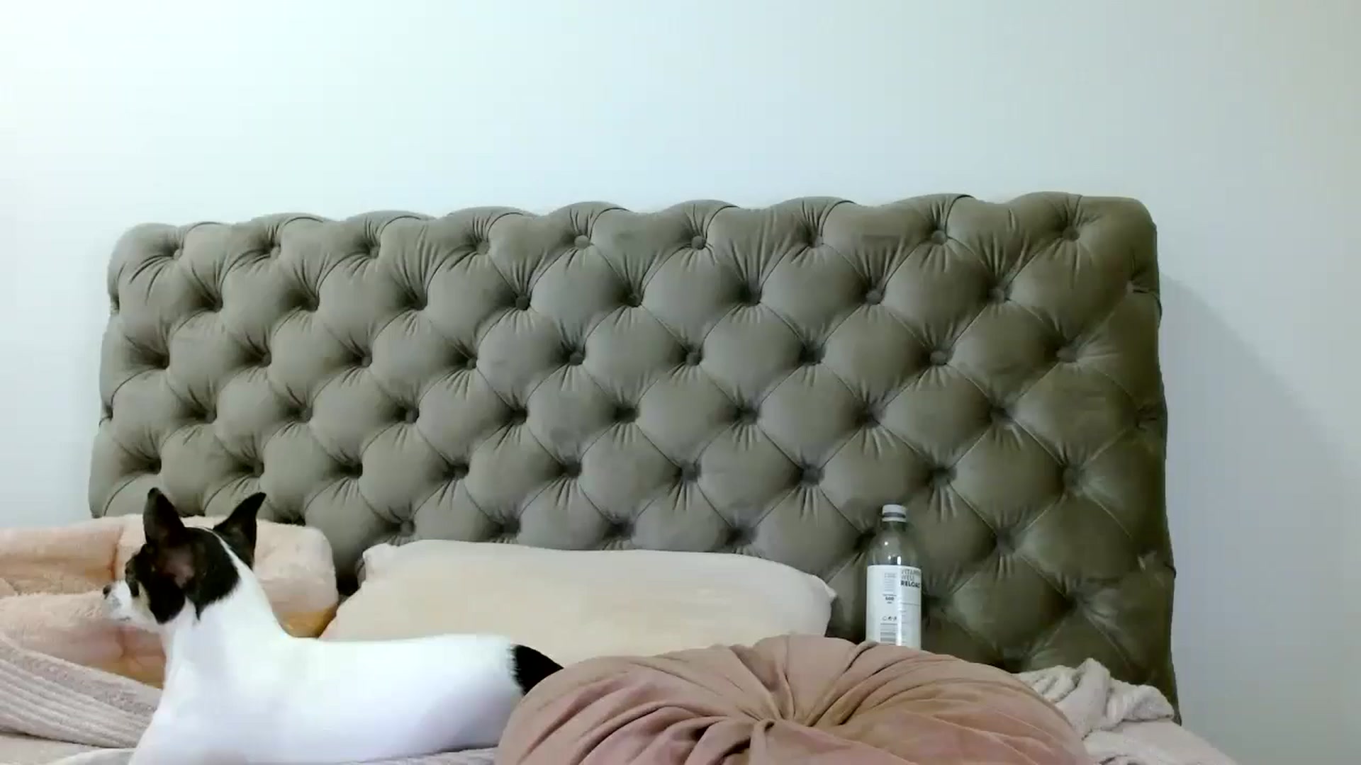 Gallery image thumbnail from Vixen_Eliana's myfreecams stream on, 08/22/2024, 01:26 image 12 of 20