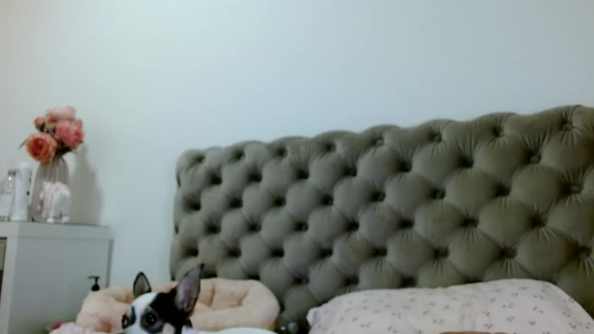 Gallery image thumbnail from Vixen_Eliana's myfreecams stream on, 09/16/2024, 02:15 image 16 of 20