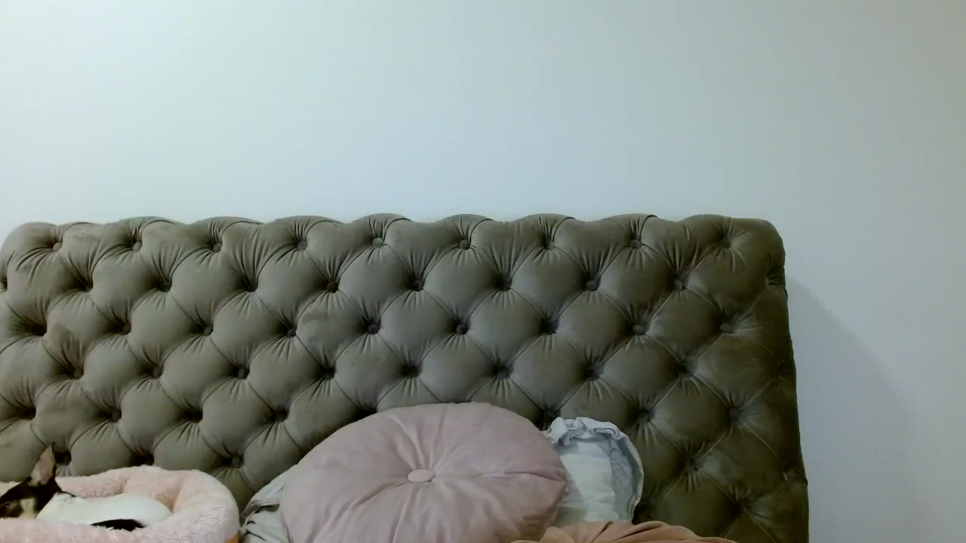 Gallery image thumbnail from Vixen_Eliana's myfreecams stream on, 10/08/2024, 01:07 image 6 of 20