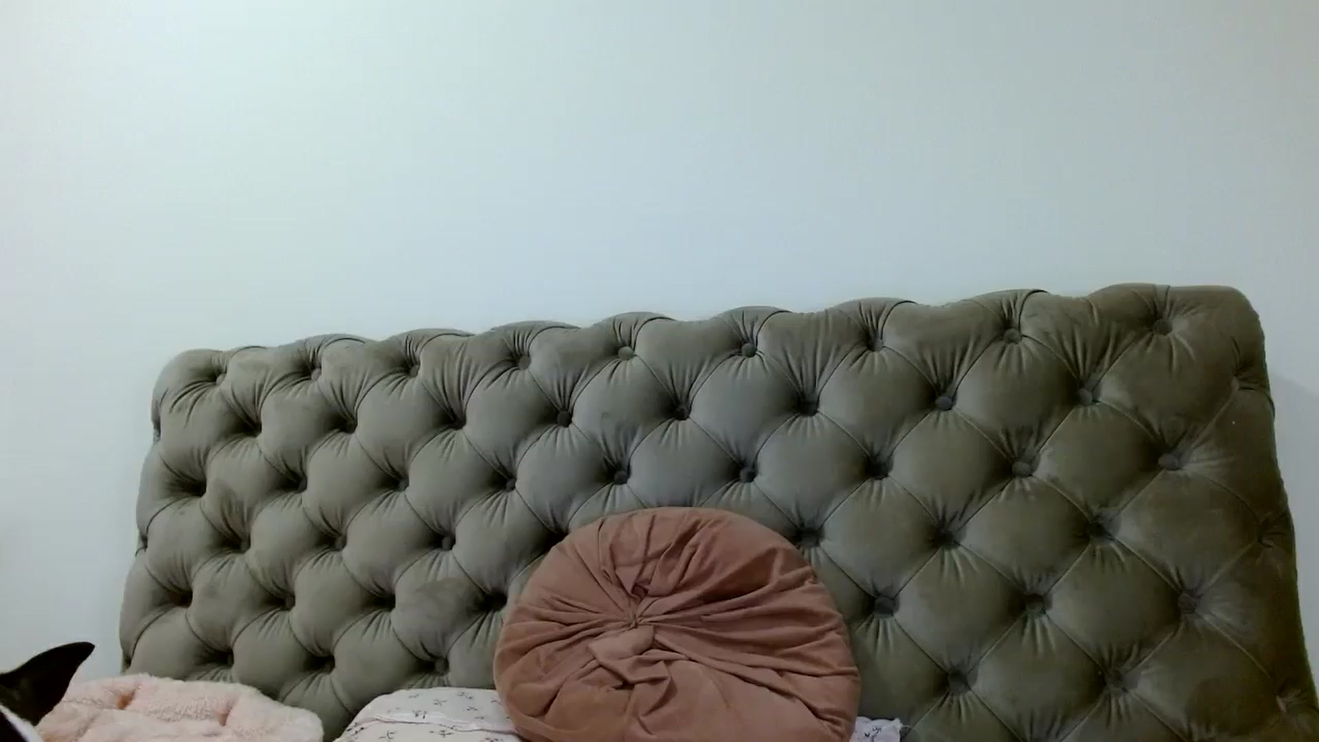Gallery image thumbnail from Vixen_Eliana's myfreecams stream on, 10/23/2024, 24:43 image 1 of 20