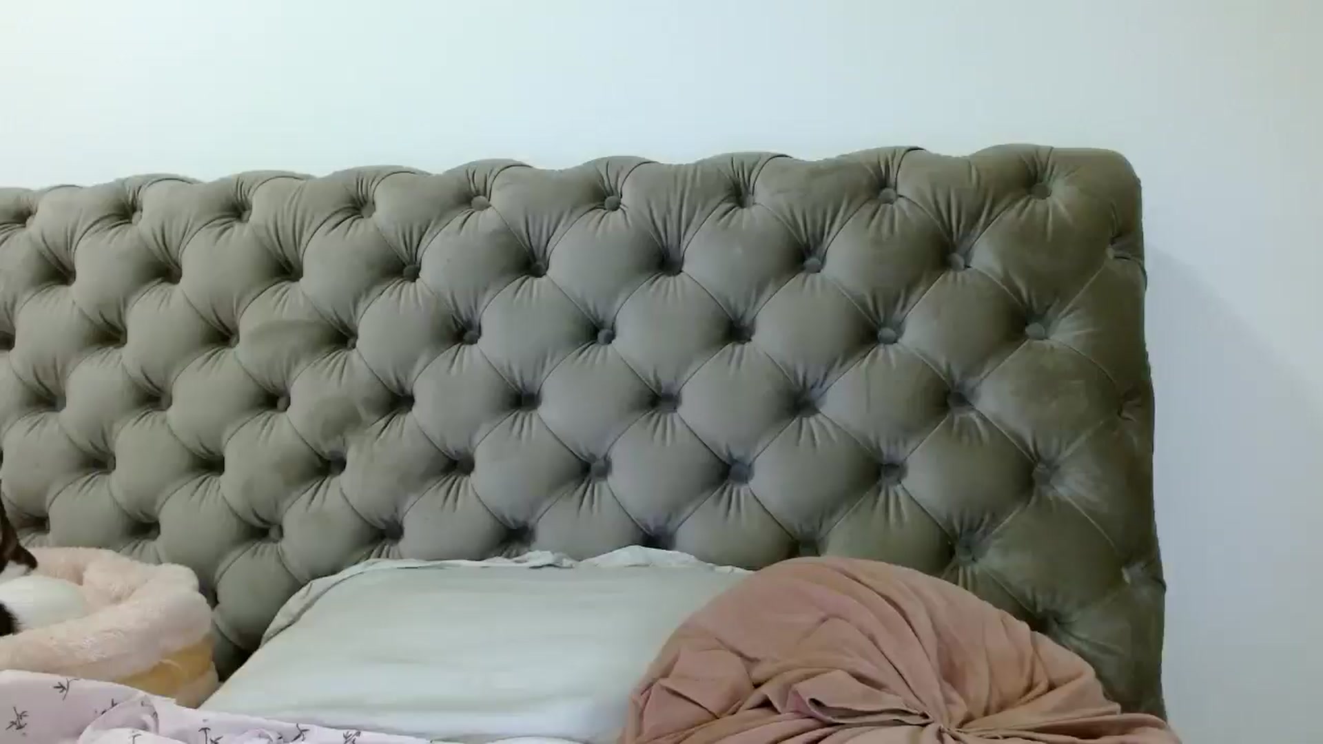 Gallery image thumbnail from Vixen_Eliana's myfreecams stream on, 01/25/2025, 03:35 image 18 of 20