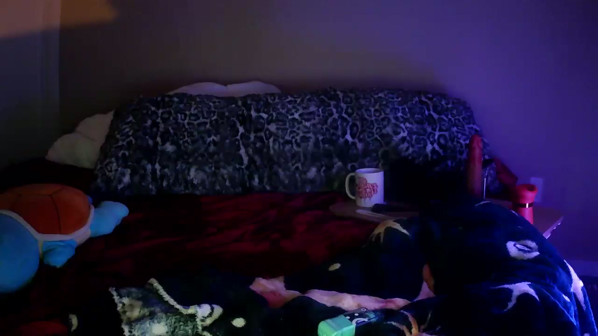 Gallery image thumbnail from Vixendrips's myfreecams stream on, 04/29/2026, 24:31 image 12 of 20