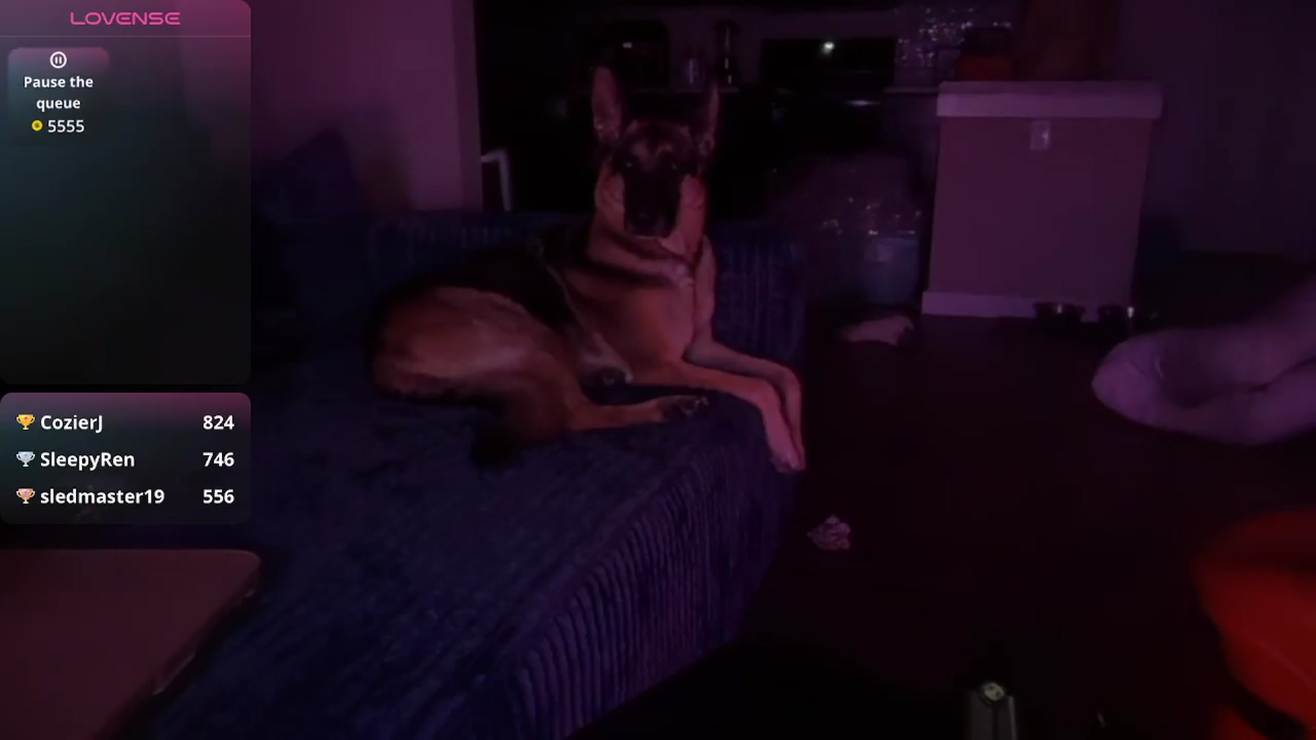 Gallery image thumbnail from Vixendrips's myfreecams stream on, 05/09/2026, 12:32 image 19 of 20