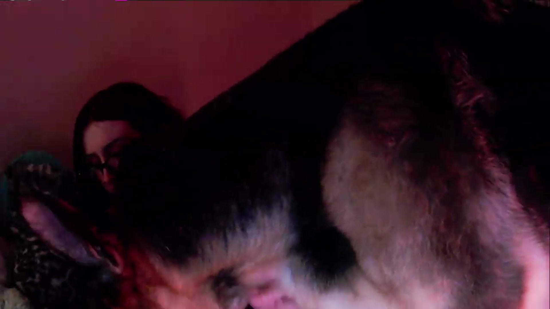 Gallery image thumbnail from Vixendrips's myfreecams stream on, 05/18/2026, 23:56 image 2 of 20