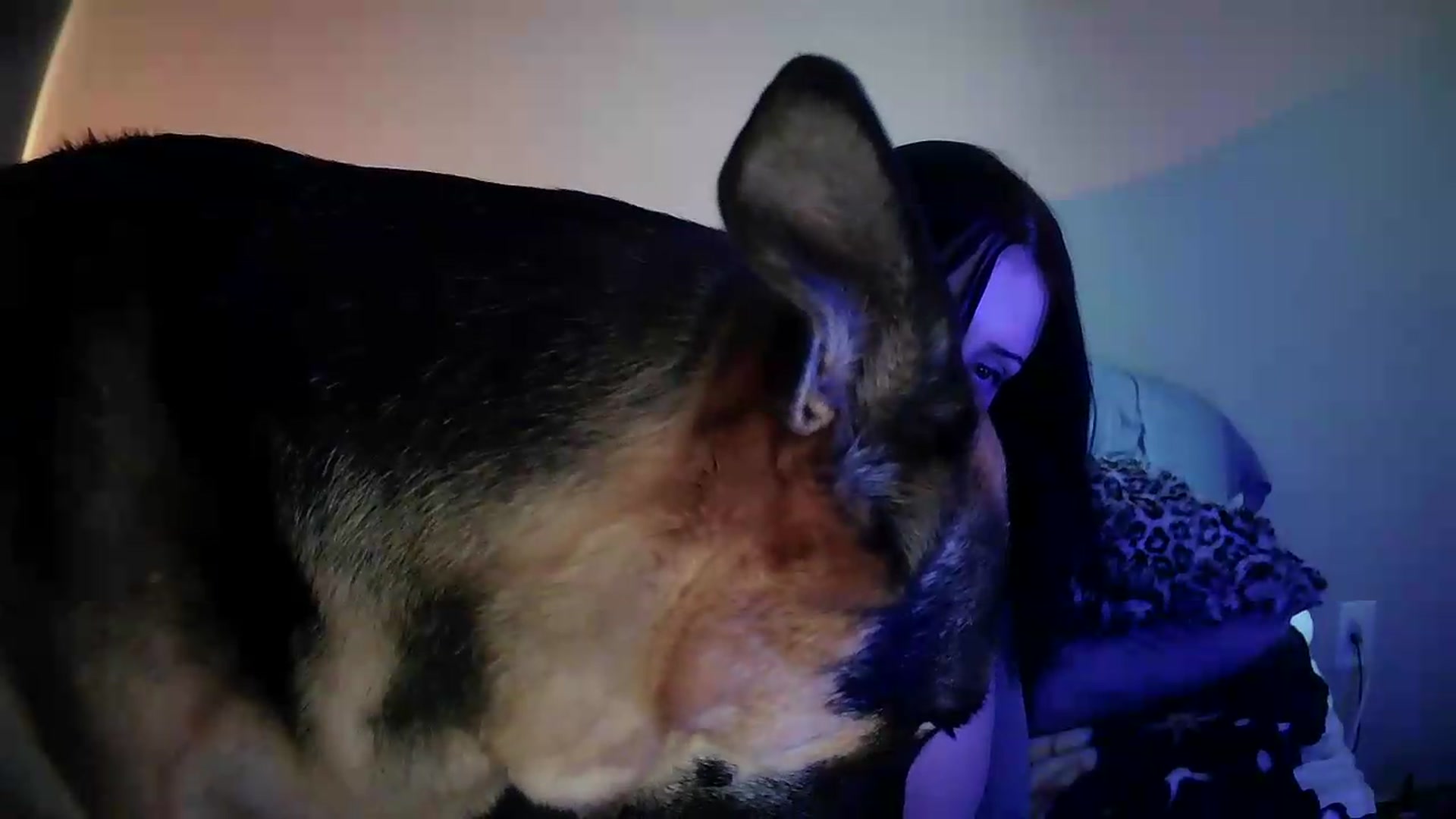 Gallery image thumbnail from Vixendrips's myfreecams stream on, 08/09/2026, 19:54 image 20 of 20