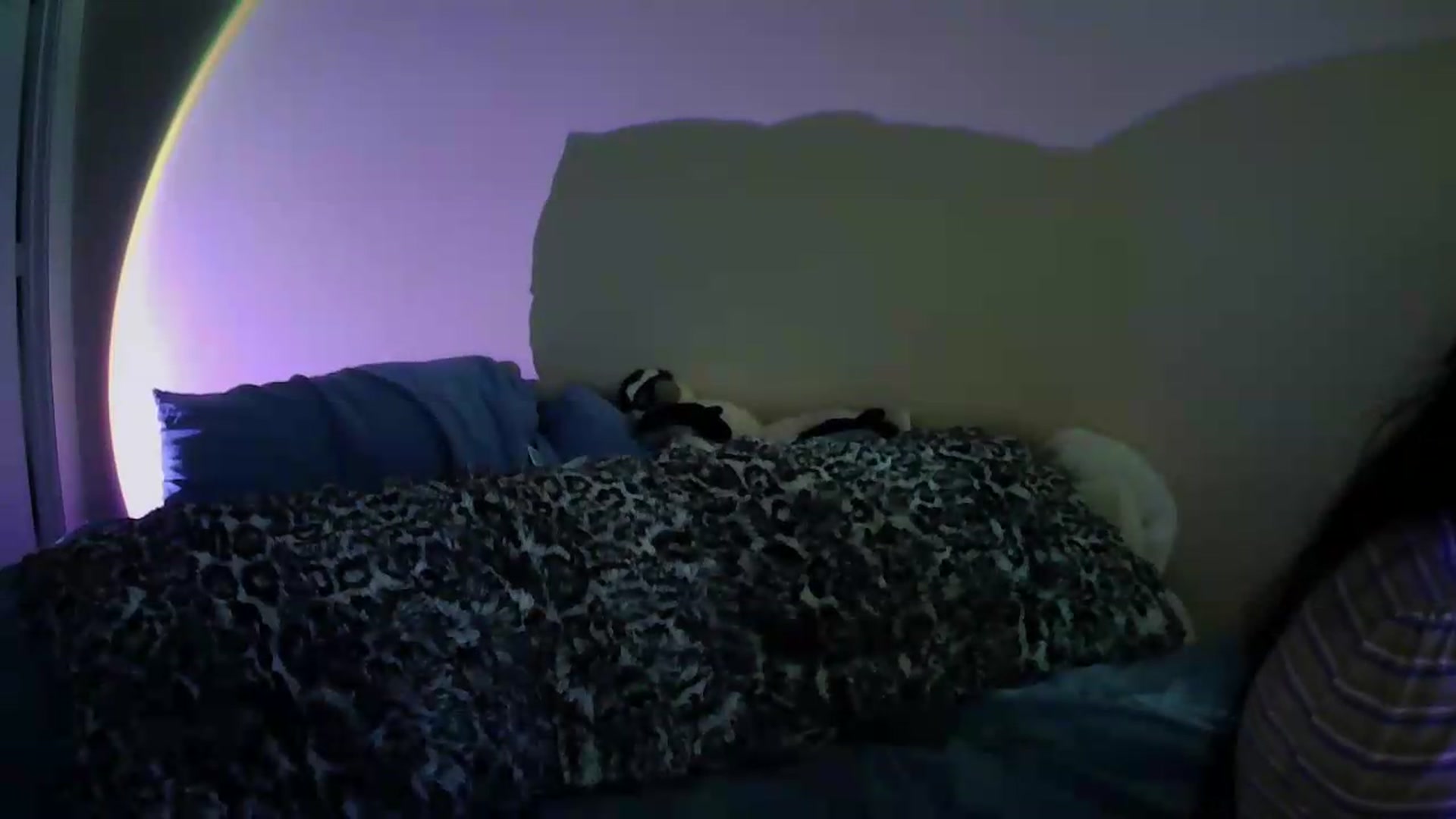 Gallery image thumbnail from Vixendrips's myfreecams stream on, 08/28/2026, 16:59 image 17 of 20