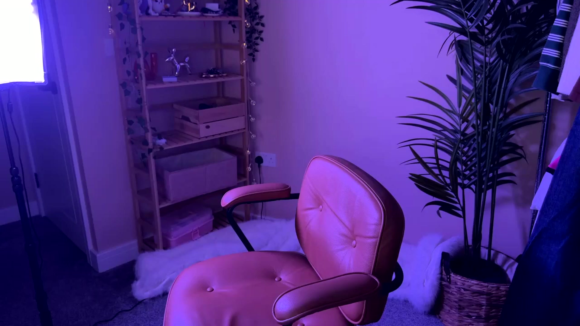 Gallery image thumbnail from Vixenp's myfreecams stream on, 12/28/2025, 18:10 image 13 of 20