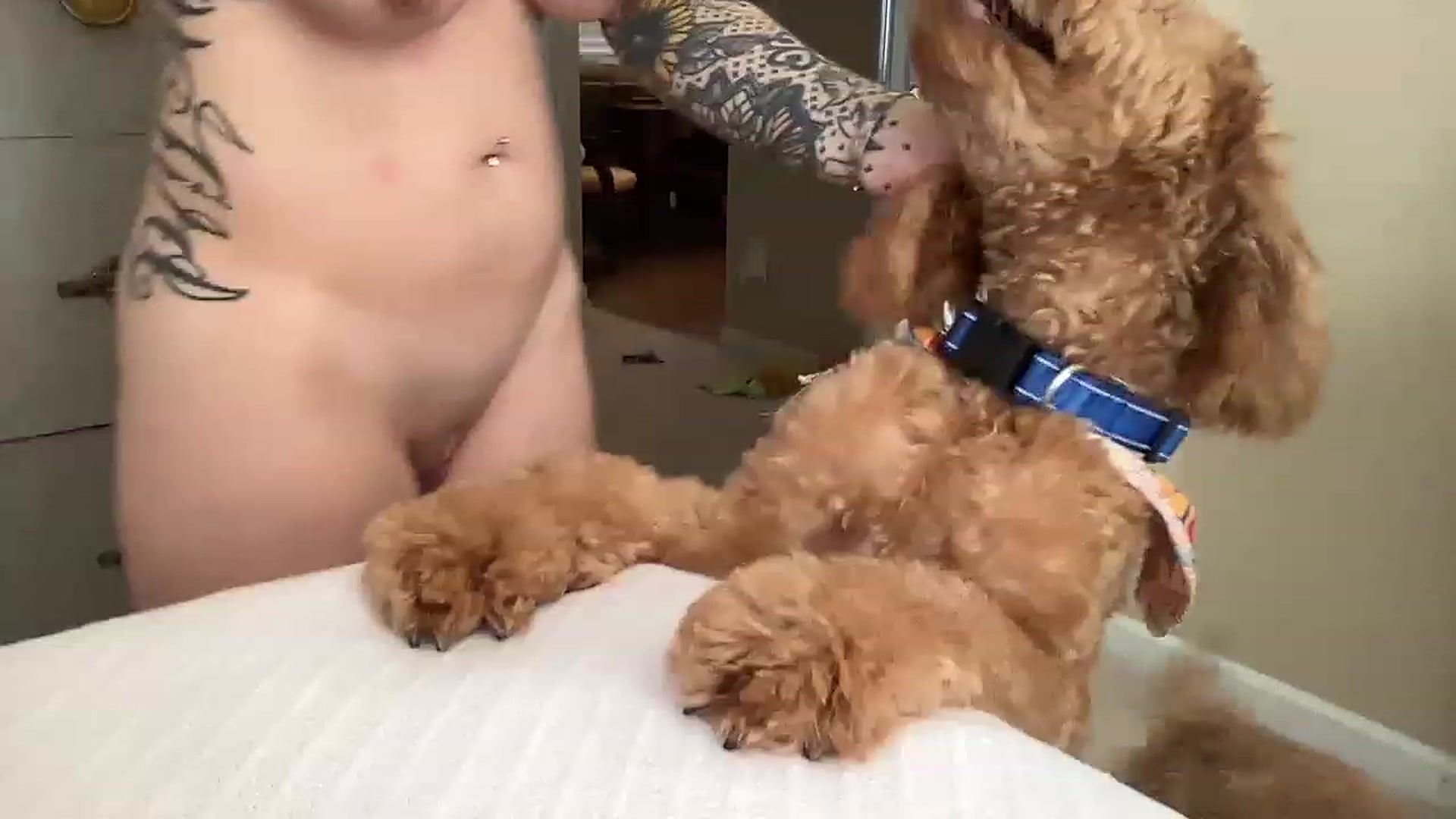 Gallery image thumbnail from Vixeyyy's myfreecams stream on, 03/16/2023, 19:20 image 13 of 20
