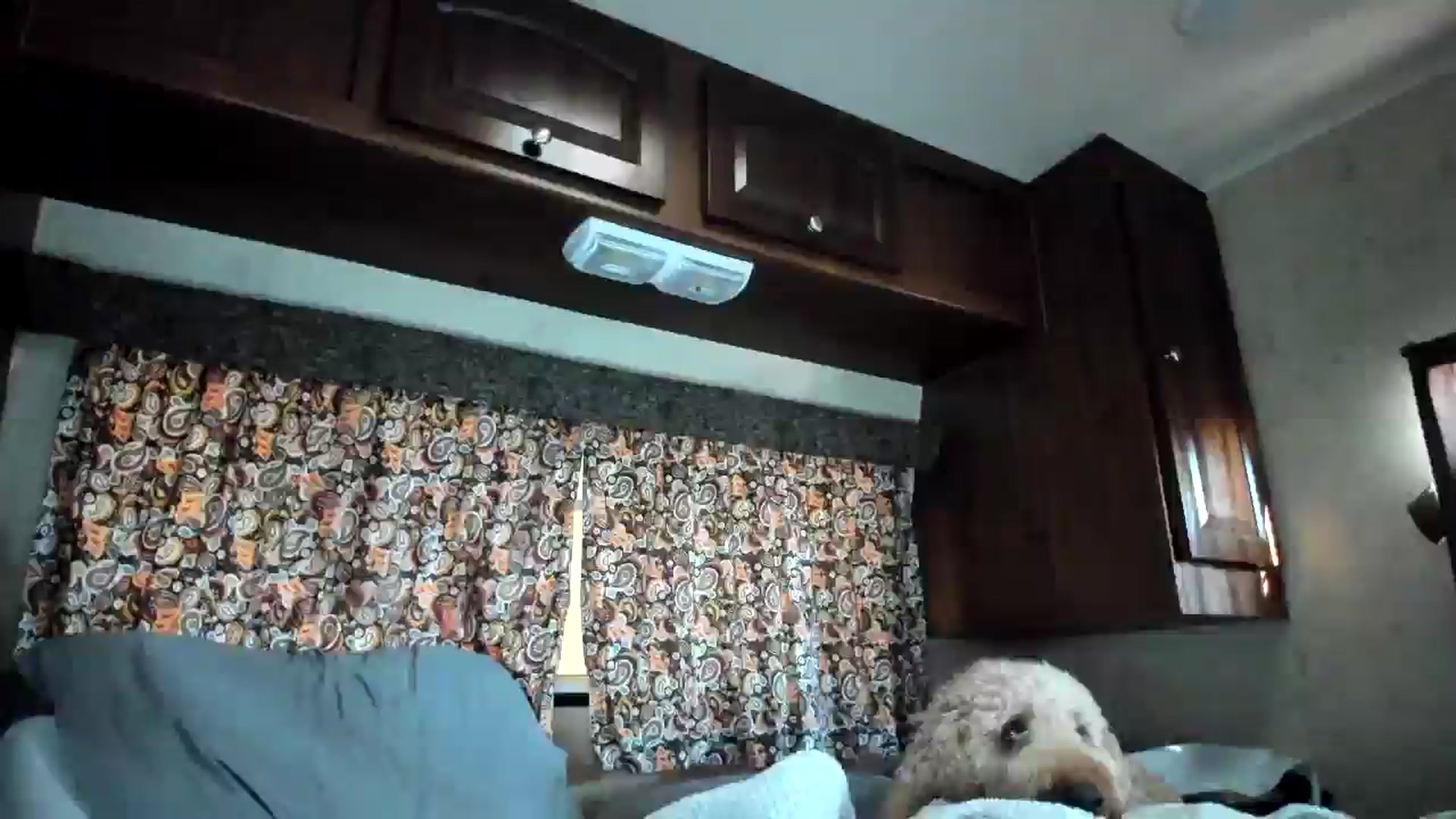 Gallery image thumbnail from Vixeyyy's myfreecams stream on, 12/19/2025, 19:59 image 2 of 20