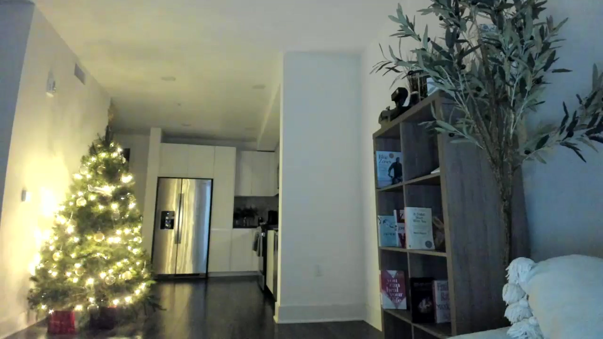 Gallery image thumbnail from Vodka_Queen's myfreecams stream on, 12/28/2024, 01:57 image 14 of 20