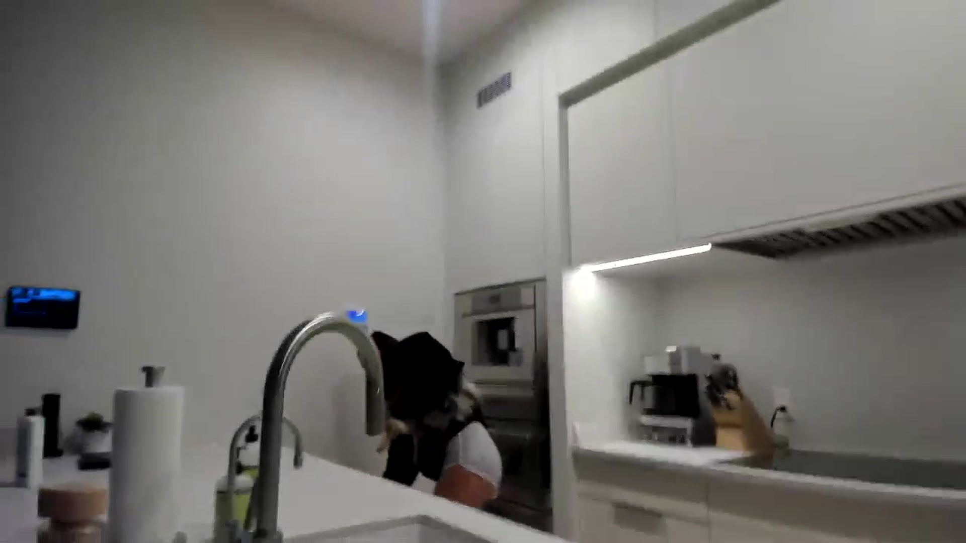 Gallery image thumbnail from Vodka_Queen's myfreecams stream on, 02/11/2025, 01:32 image 19 of 20