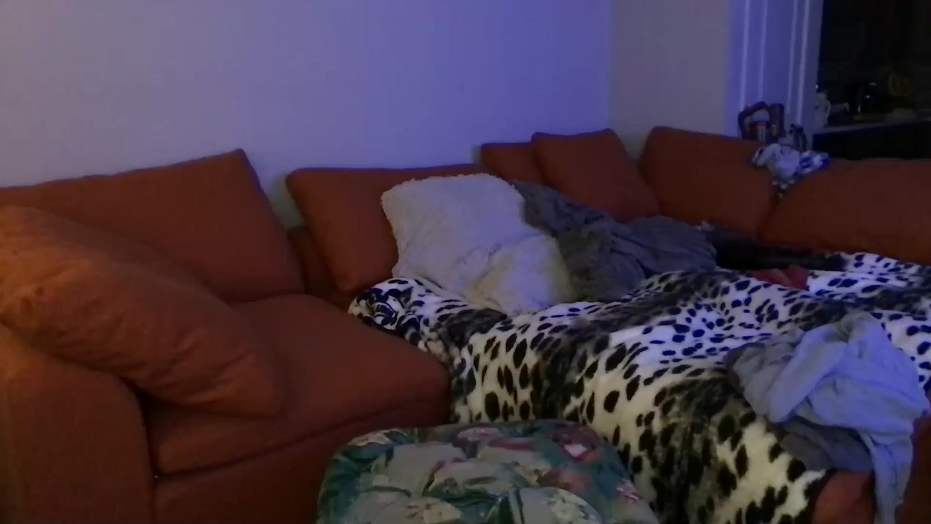Gallery image thumbnail from VoraciousV's myfreecams stream on, 02/24/2023, 03:26 image 7 of 20