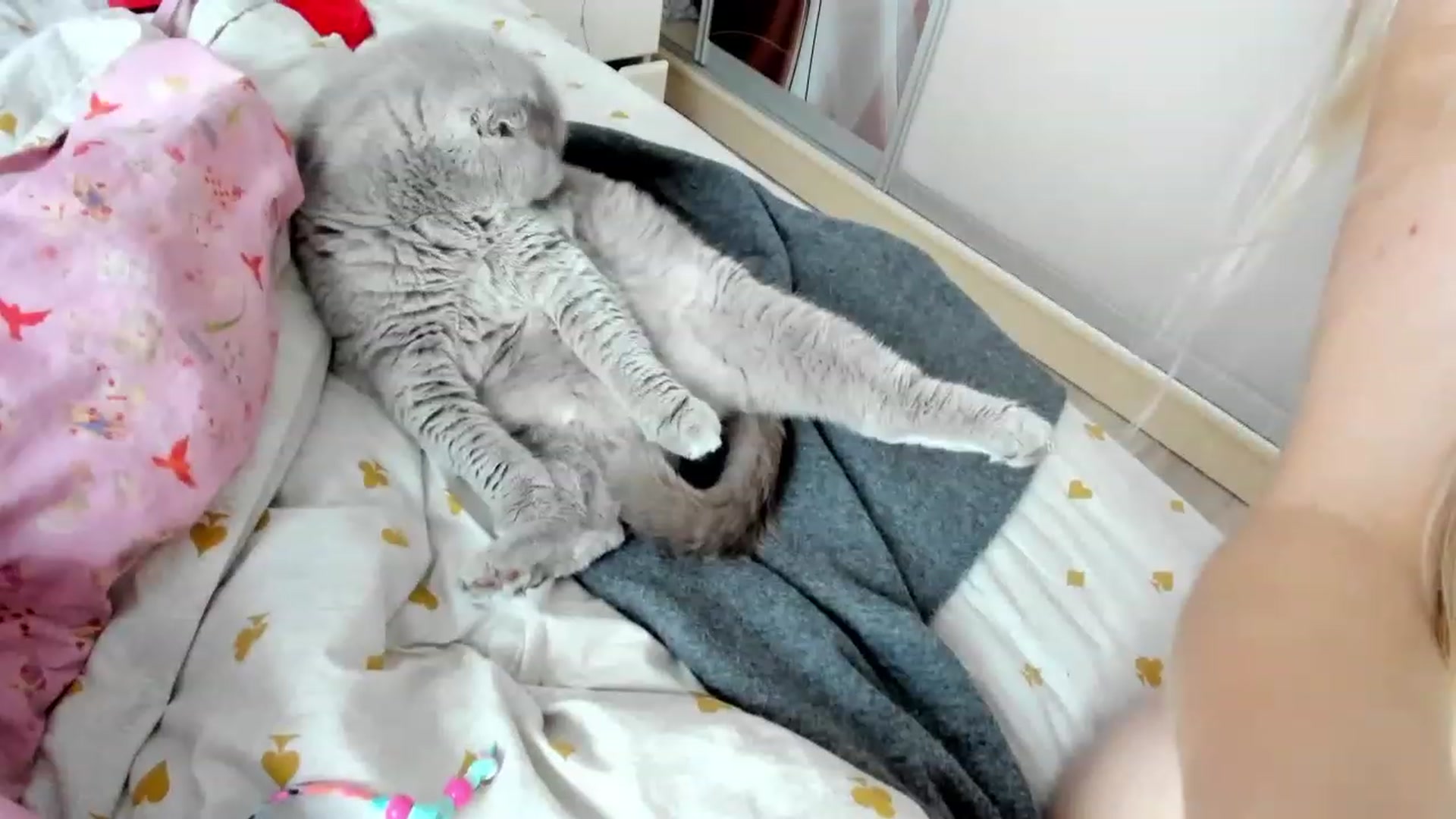 Gallery image thumbnail from WOWbarbie's myfreecams stream on, 12/10/2022, 09:20 image 10 of 20