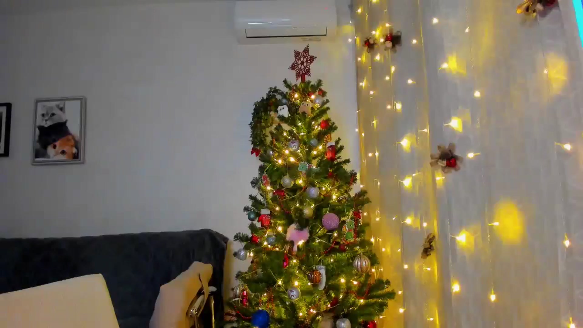 Gallery image thumbnail from WaveOfLove's myfreecams stream on, 12/27/2024, 13:00 image 11 of 20