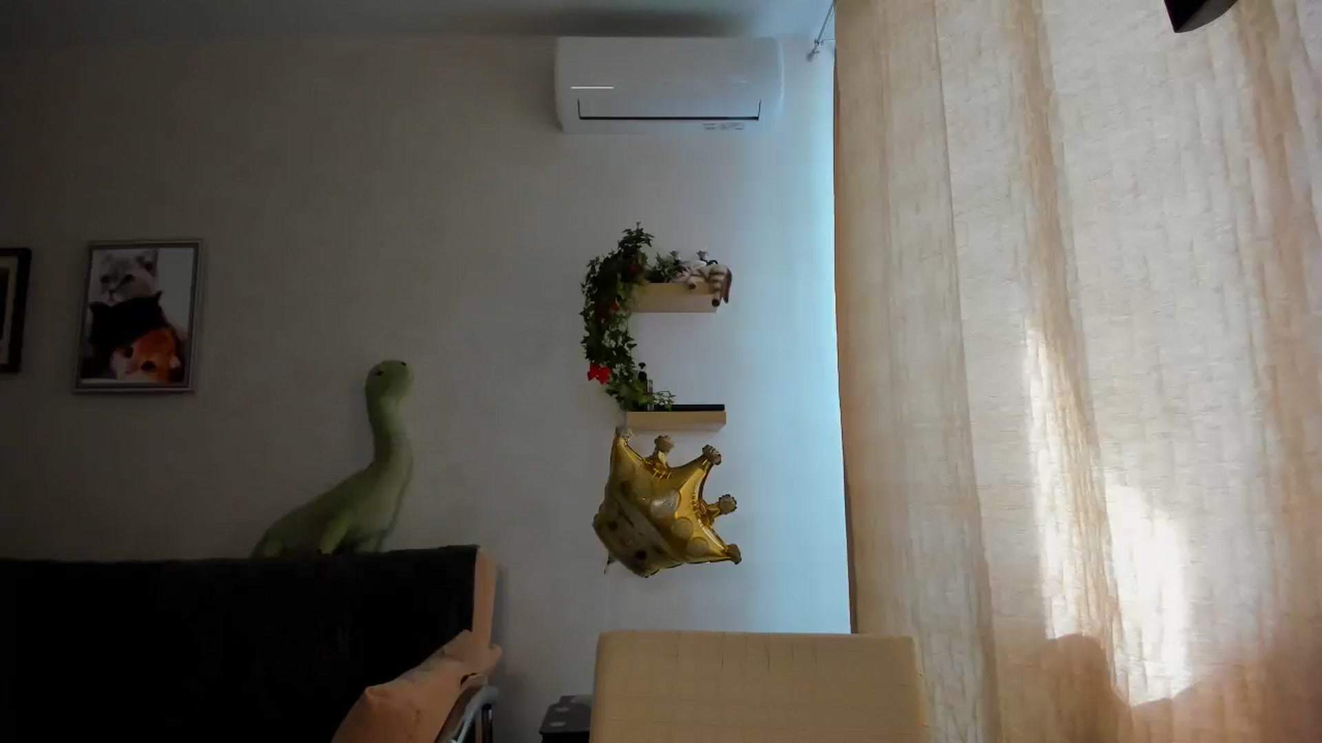 Gallery image thumbnail from WaveOfLove's myfreecams stream on, 05/14/2025, 13:02 image 11 of 20