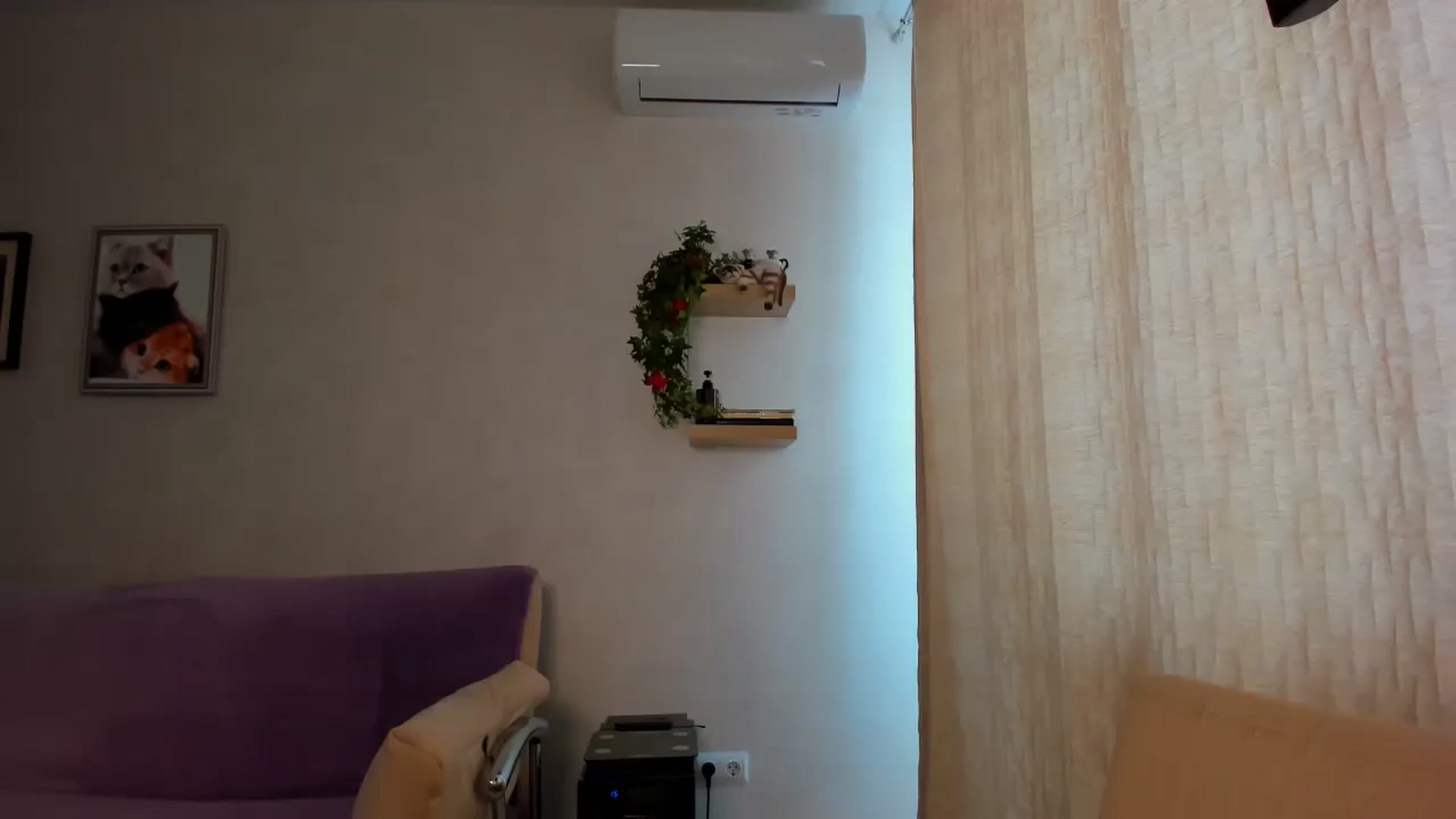 Gallery image thumbnail from WaveOfLove's myfreecams stream on, 08/29/2025, 12:54 image 1 of 20