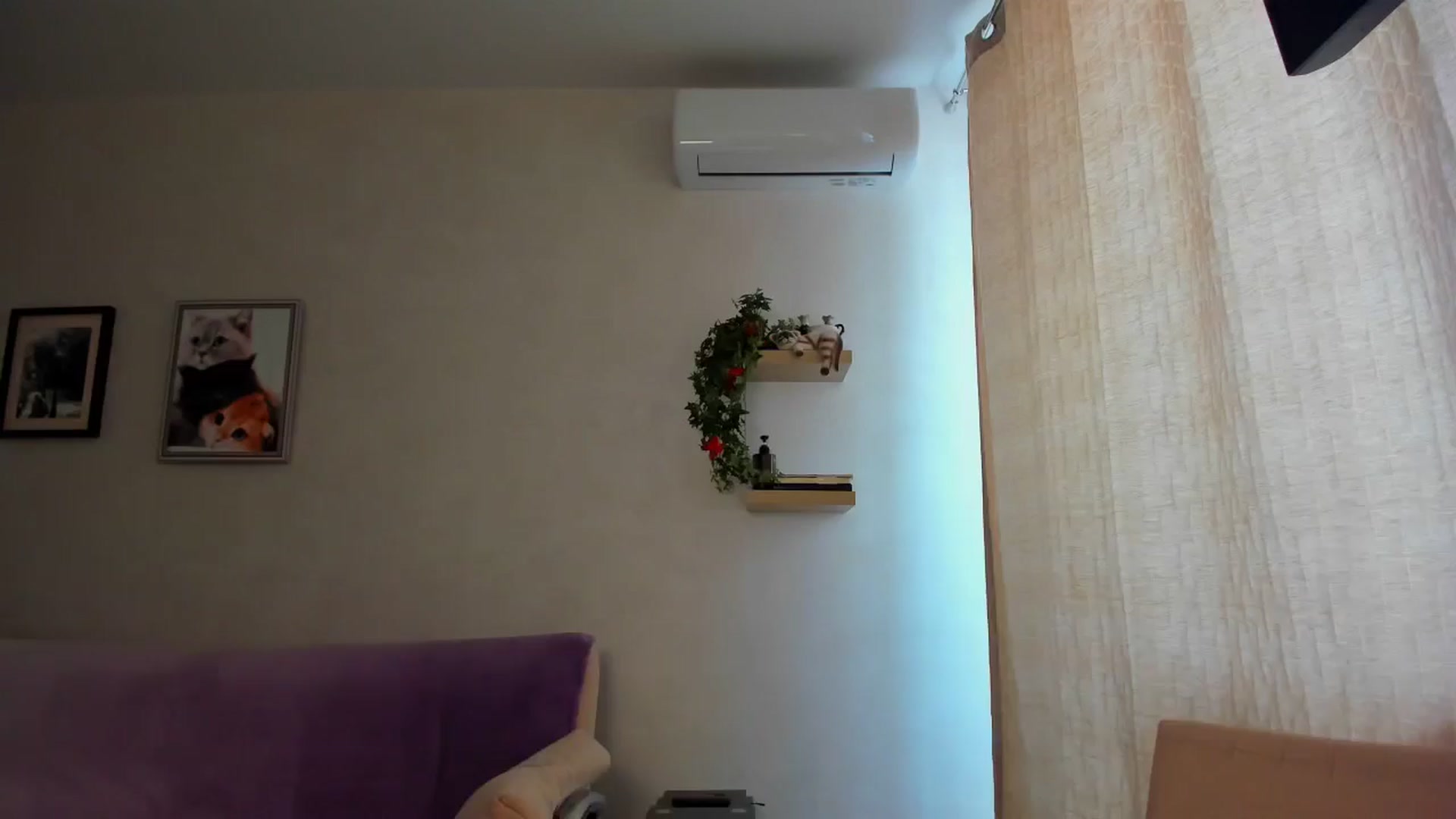 Gallery image thumbnail from WaveOfLove's myfreecams stream on, 08/30/2025, 11:46 image 3 of 20