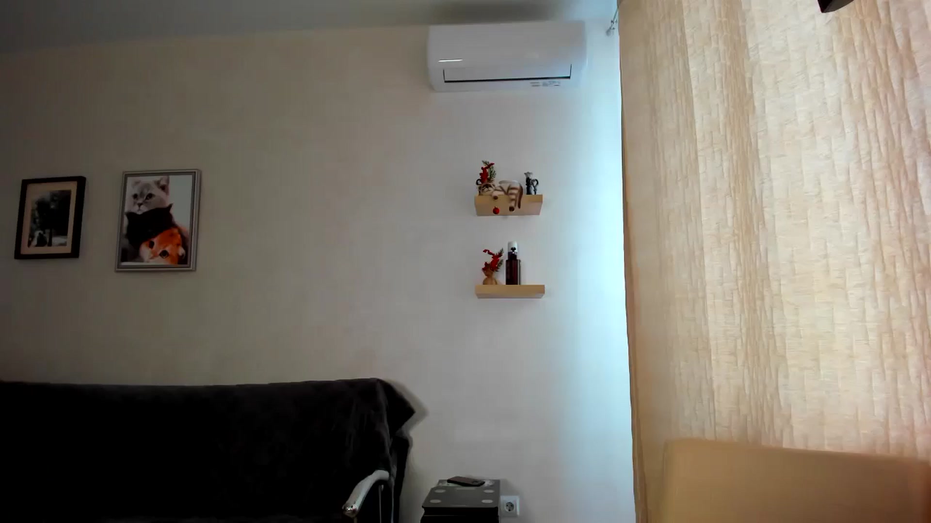 Gallery image thumbnail from WaveOfLove's myfreecams stream on, 02/19/2026, 13:00 image 3 of 20