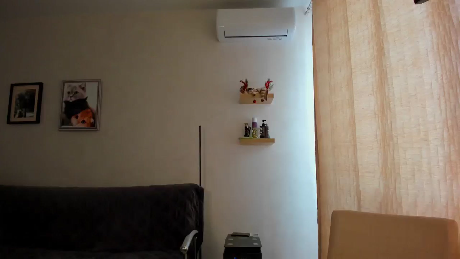 Gallery image thumbnail from WaveOfLove's myfreecams stream on, 04/23/2026, 13:02 image 6 of 20
