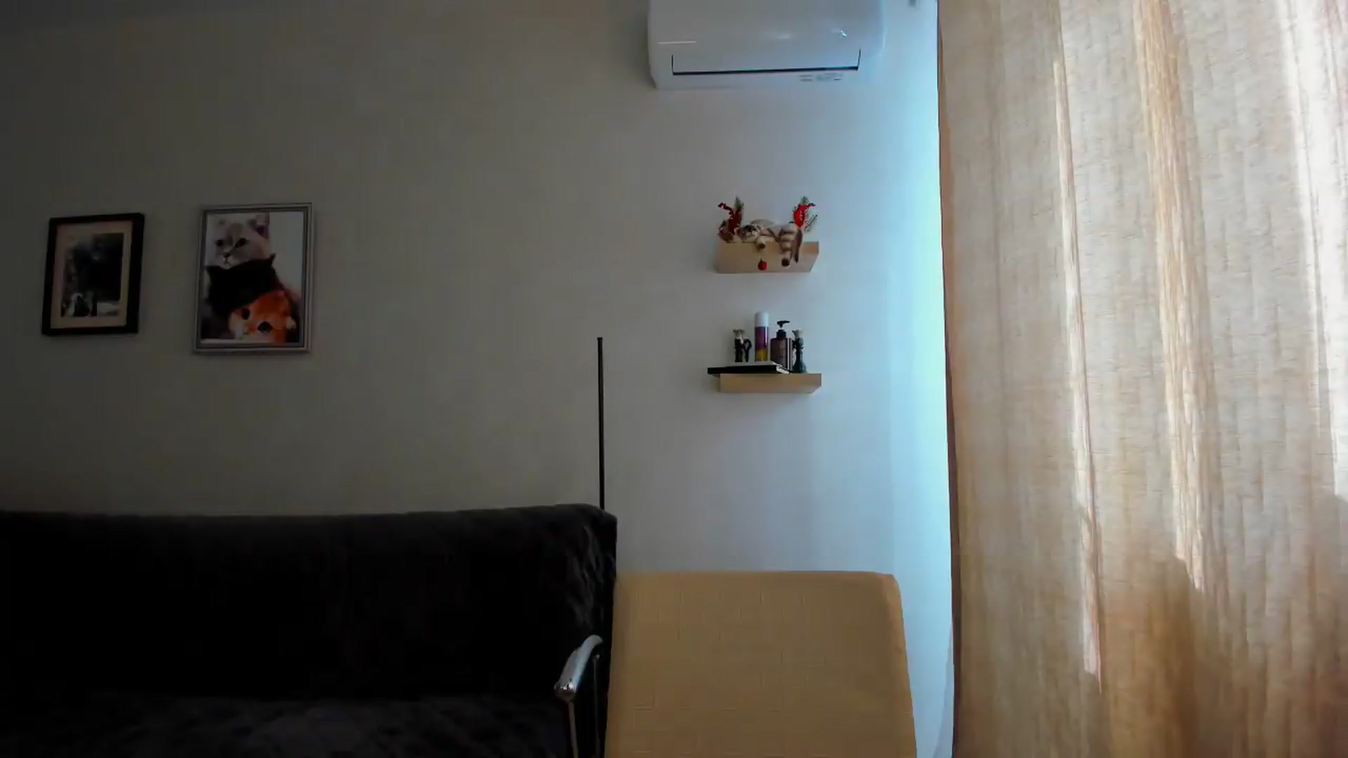 Gallery image thumbnail from WaveOfLove's myfreecams stream on, 04/24/2026, 13:50 image 15 of 20