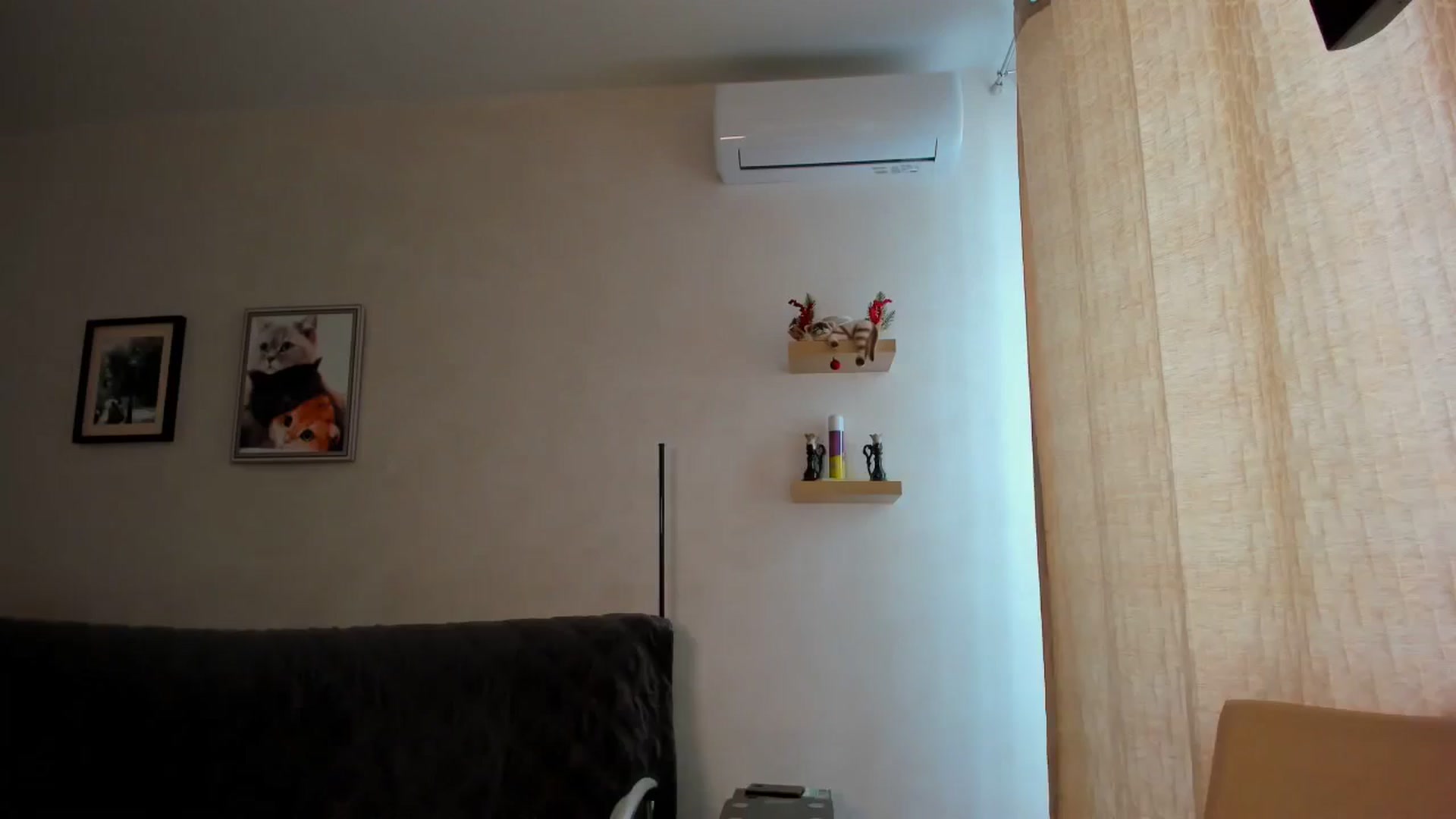 Gallery image thumbnail from WaveOfLove's myfreecams stream on, 04/26/2026, 12:33 image 9 of 20