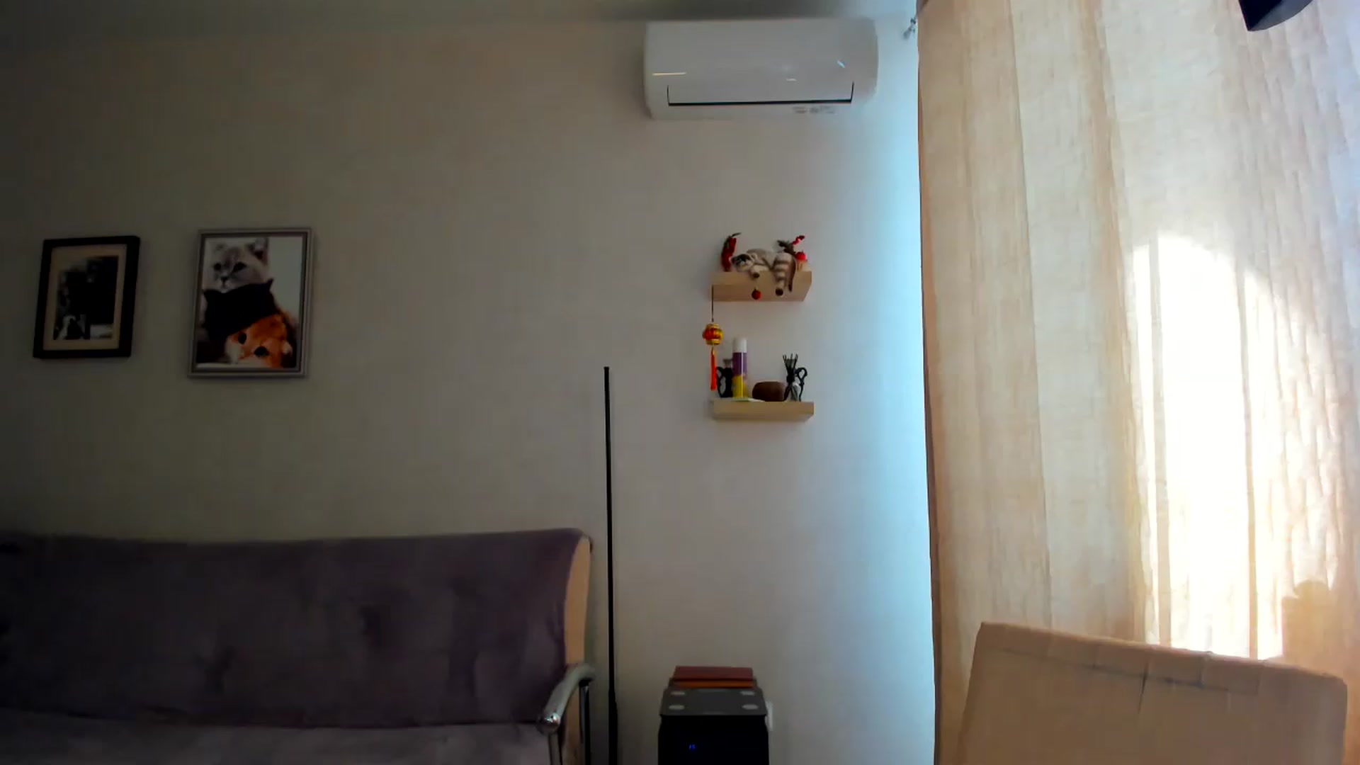 Gallery image thumbnail from WaveOfLove's myfreecams stream on, 08/13/2026, 14:09 image 9 of 20