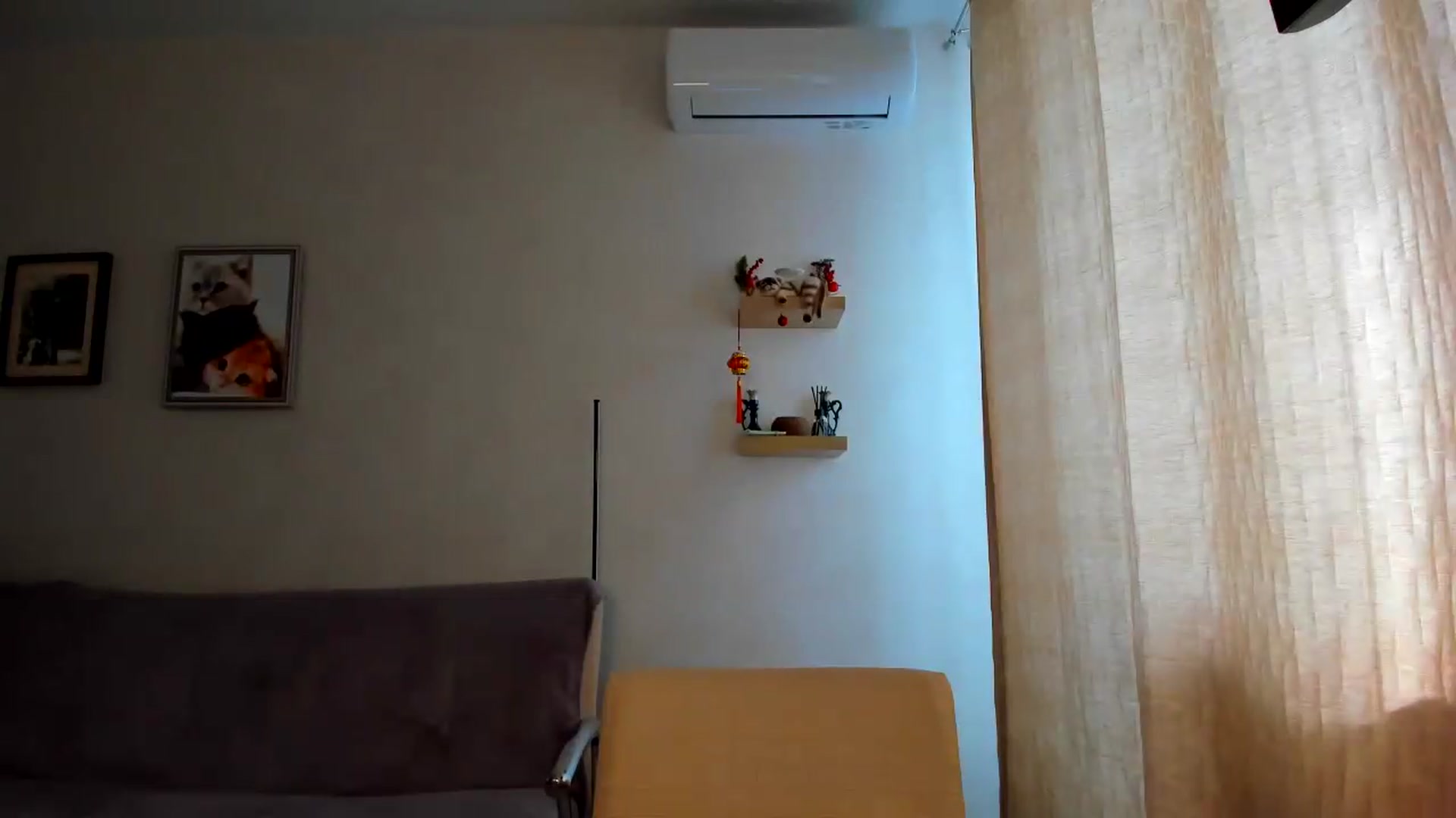 Gallery image thumbnail from WaveOfLove's myfreecams stream on, 08/26/2026, 18:19 image 11 of 20