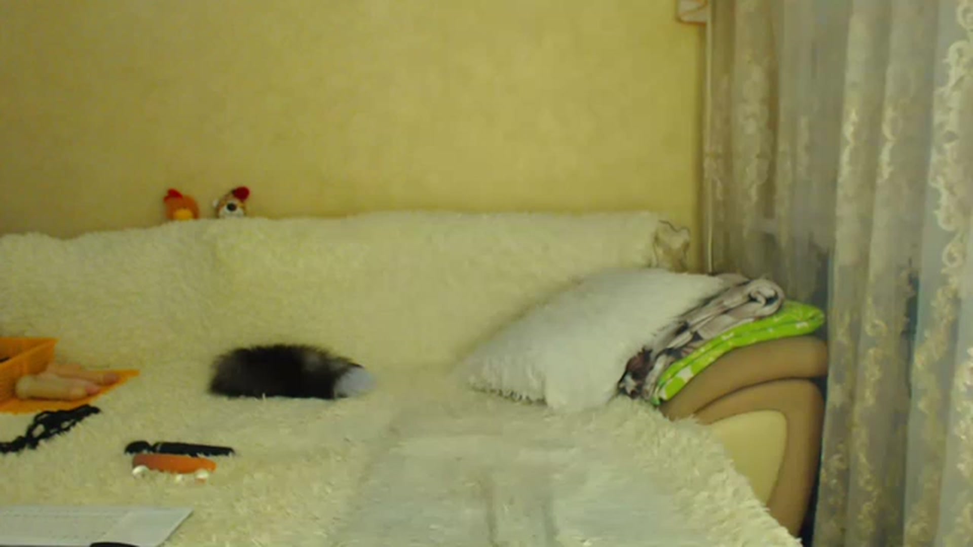Gallery image thumbnail from WebcamSlutxx's myfreecams stream on, 01/02/2023, 14:08 image 20 of 20
