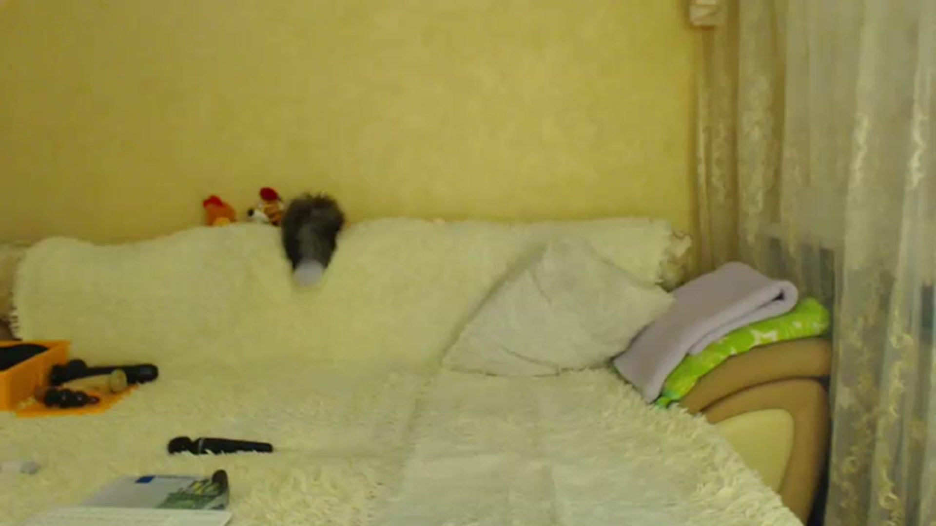 Gallery image thumbnail from WebcamSlutxx's myfreecams stream on, 09/09/2023, 12:22 image 11 of 20
