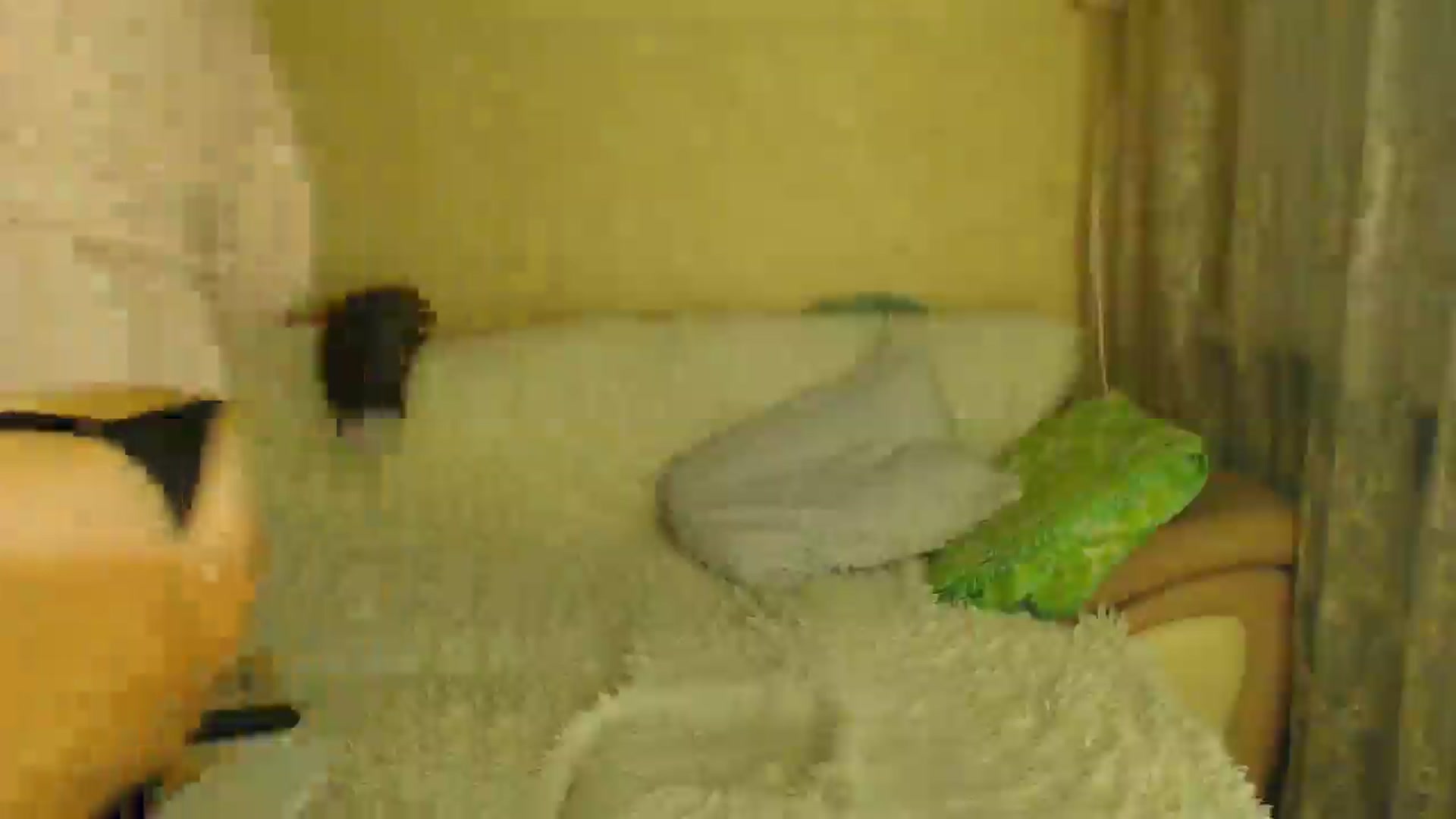 Gallery image thumbnail from WebcamSlutxx's myfreecams stream on, 12/18/2025, 19:56 image 2 of 20