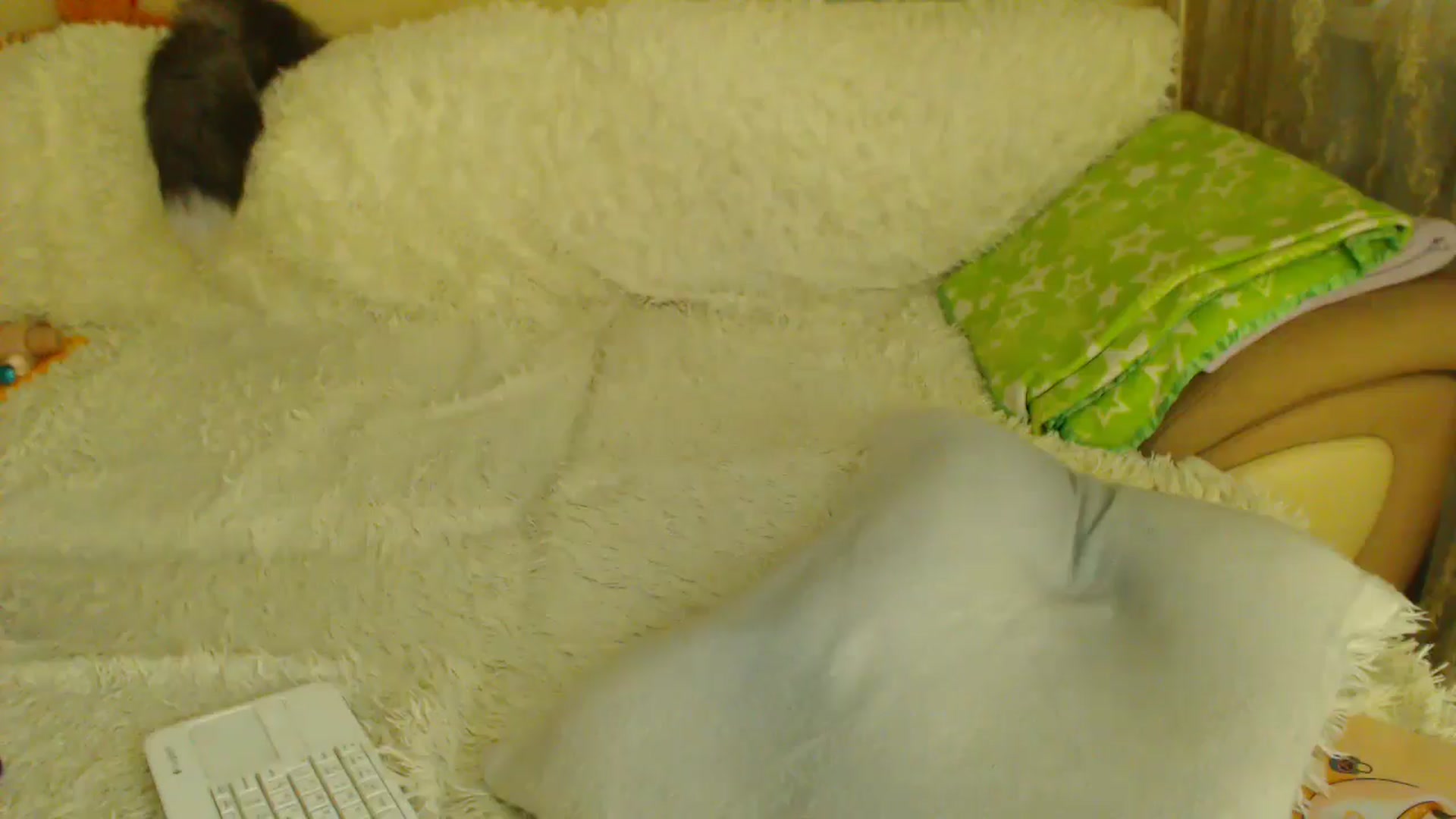 Gallery image thumbnail from WebcamSlutxx's myfreecams stream on, 12/22/2025, 13:59 image 13 of 20