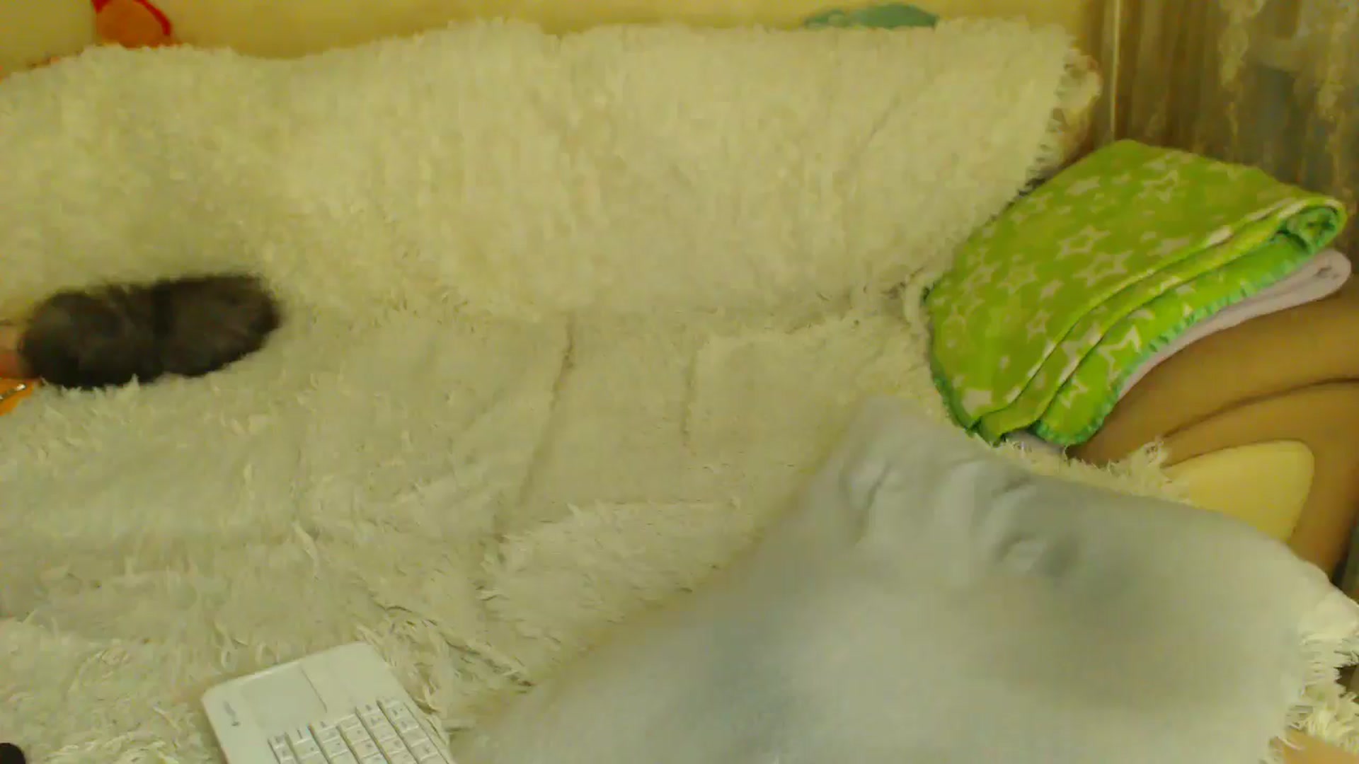 Gallery image thumbnail from WebcamSlutxx's myfreecams stream on, 12/24/2025, 15:26 image 19 of 20