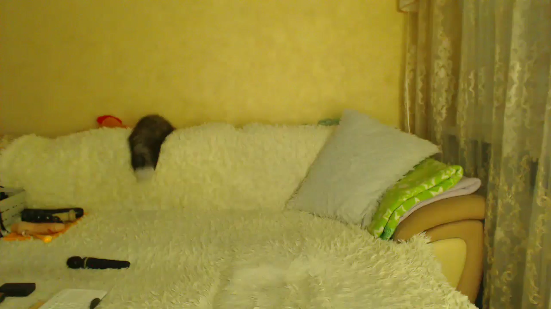 Gallery image thumbnail from WebcamSlutxx's myfreecams stream on, 12/28/2025, 17:02 image 4 of 20