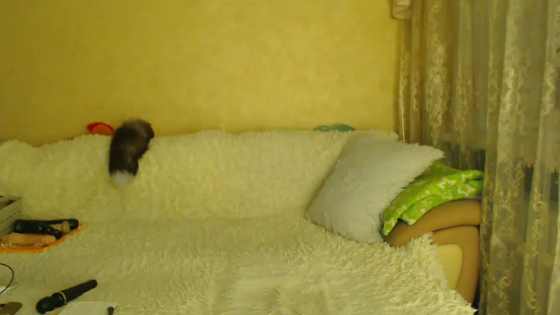 Gallery image thumbnail from WebcamSlutxx's myfreecams stream on, 12/29/2025, 18:08 image 12 of 20
