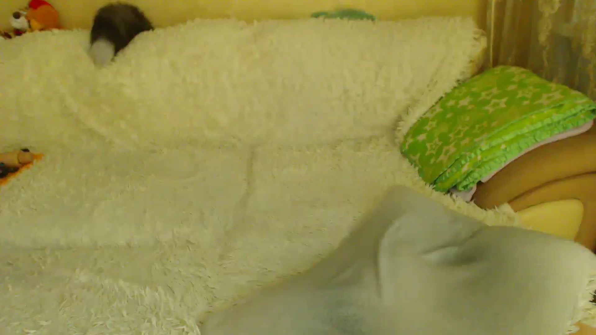Gallery image thumbnail from WebcamSlutxx's myfreecams stream on, 01/04/2026, 17:41 image 3 of 20