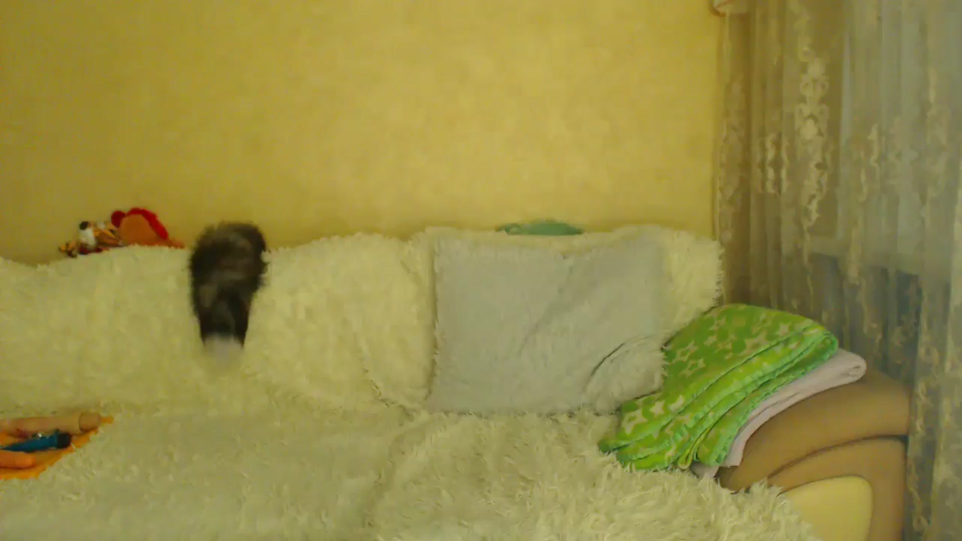 Gallery image thumbnail from WebcamSlutxx's myfreecams stream on, 01/08/2026, 15:40 image 1 of 20