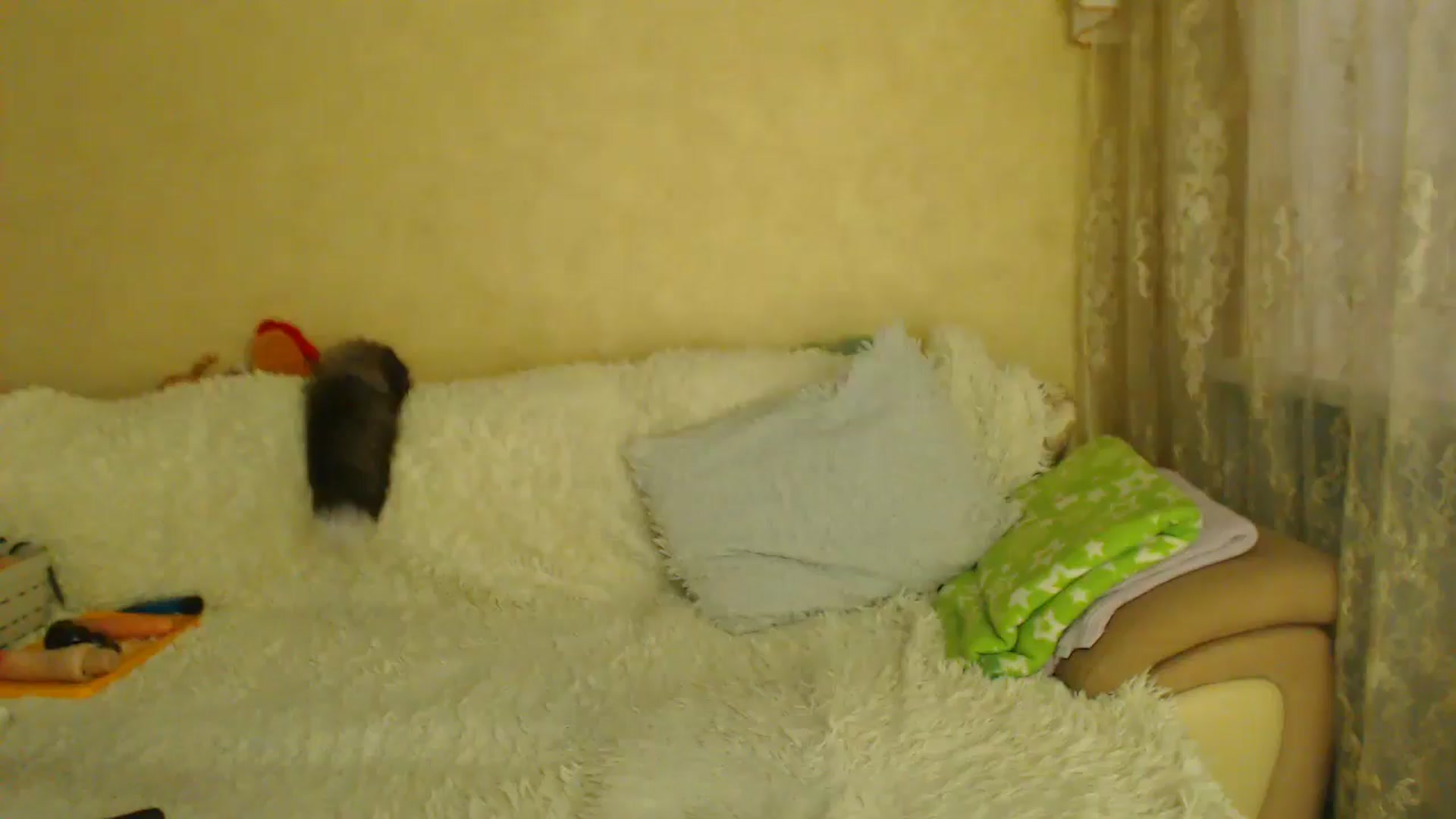 Gallery image thumbnail from WebcamSlutxx's myfreecams stream on, 03/22/2026, 13:42 image 20 of 20