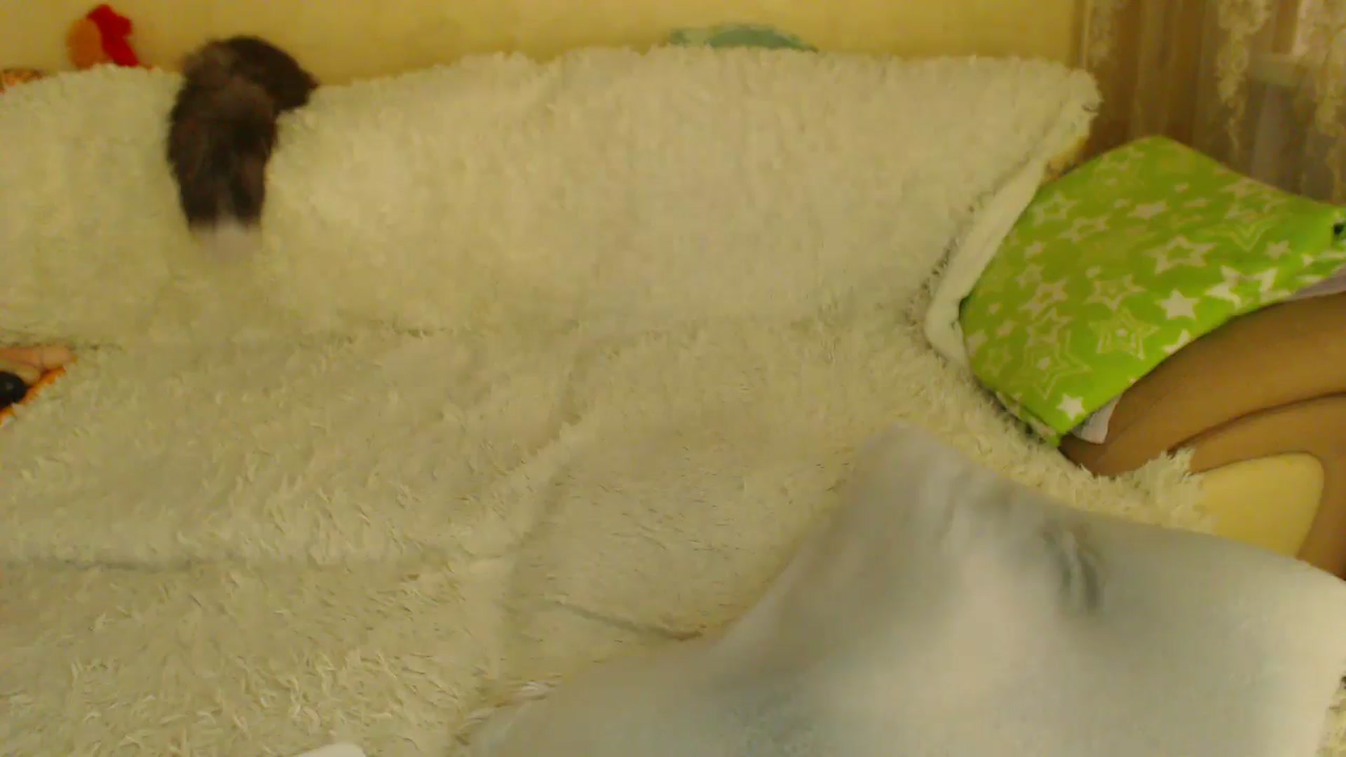 Gallery image thumbnail from WebcamSlutxx's myfreecams stream on, 04/05/2026, 10:34 image 16 of 20