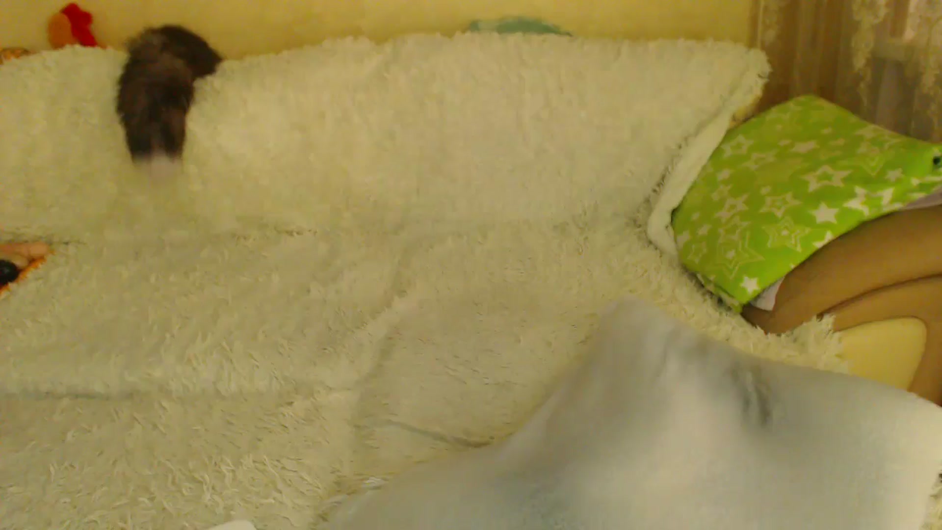 Gallery image thumbnail from WebcamSlutxx's myfreecams stream on, 04/05/2026, 10:34 image 17 of 20
