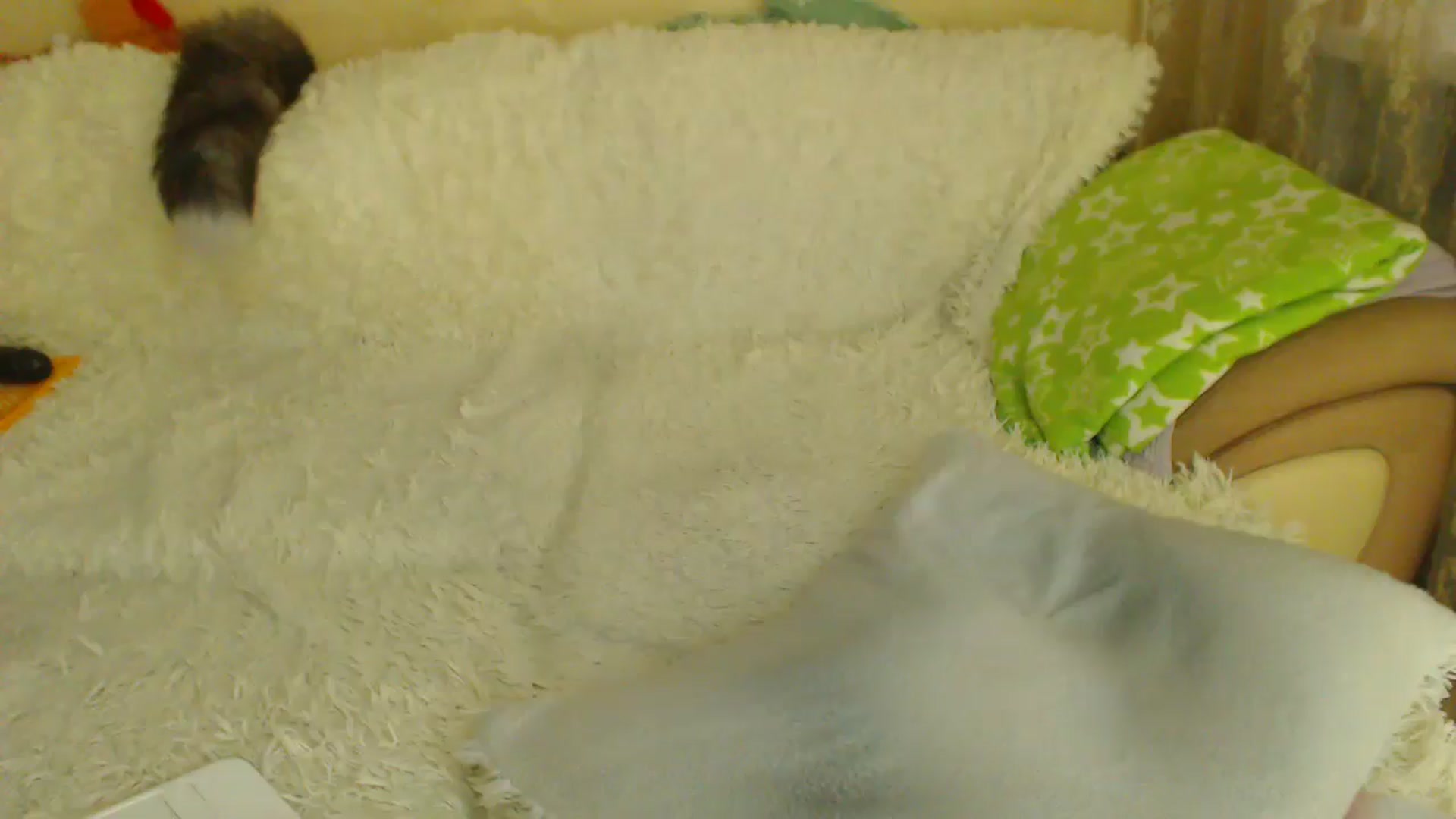 Gallery image thumbnail from WebcamSlutxx's myfreecams stream on, 05/09/2026, 12:25 image 16 of 20