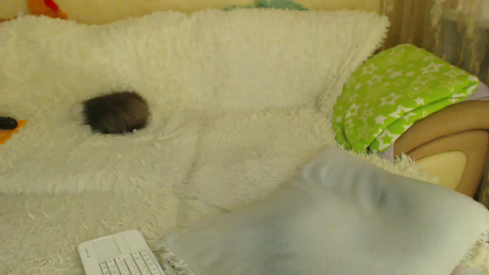 Gallery image thumbnail from WebcamSlutxx's myfreecams stream on, 05/09/2026, 12:25 image 1 of 20