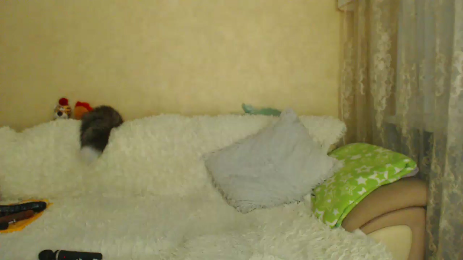 Gallery image thumbnail from WebcamSlutxx's myfreecams stream on, 08/18/2026, 17:33 image 14 of 20