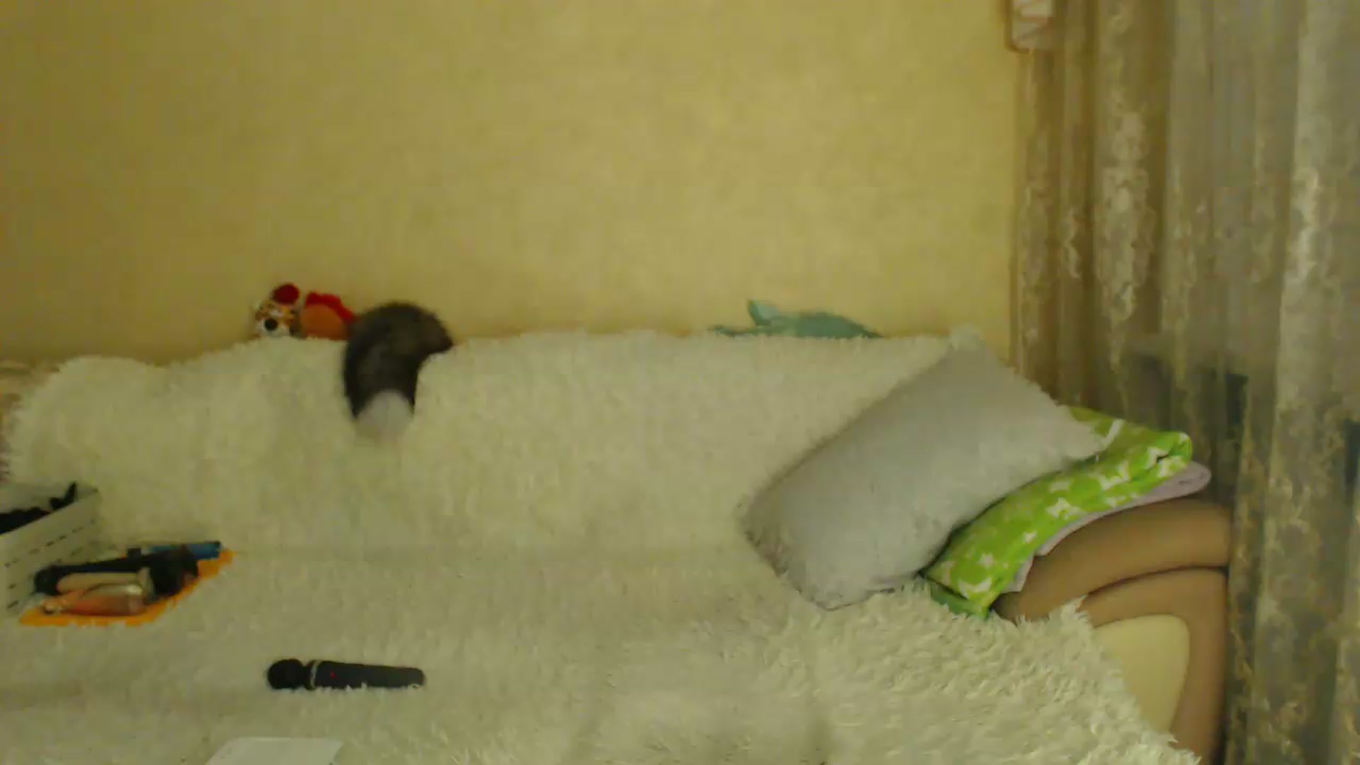 Gallery image thumbnail from WebcamSlutxx's myfreecams stream on, 08/19/2026, 11:44 image 11 of 20