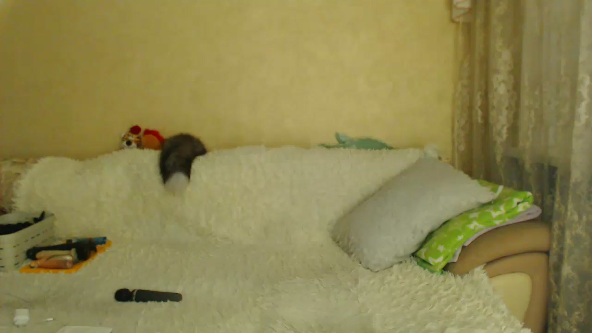 Gallery image thumbnail from WebcamSlutxx's myfreecams stream on, 08/19/2026, 13:06 image 14 of 20